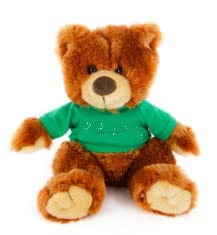 Soft Plush Noah Bear 12