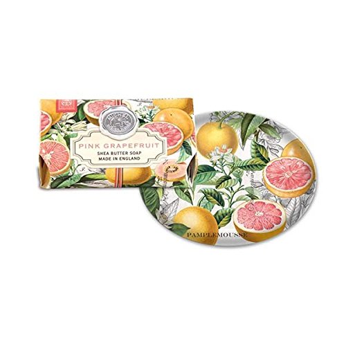 Michel Design Works Pink Grapefruit Scented Bath Soap Bar with Glass Soap Dish - Luxury Handmade Soap for Spa, Bathroom Decor & Gift Giving