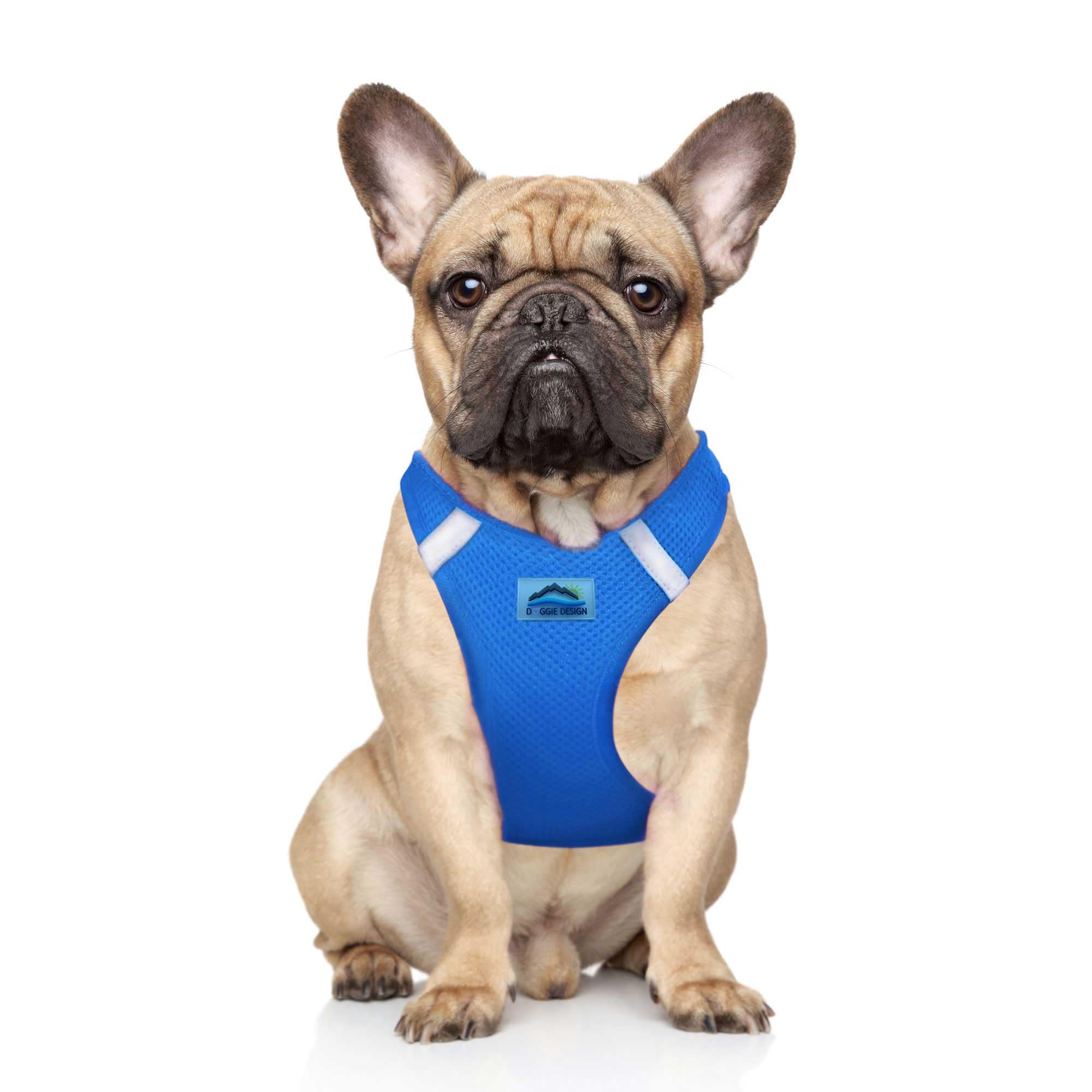 Doggie Design No-Choke Dog Harness - Breathable Mesh Polyester Pet Vest with Easy Step-in Design | Comfortable & Adjustable Dog Harness for Walking & Training (Cobalt Blue, Medium) - Perfect for Daily Walks, Hiking & Outdoor Adventures
