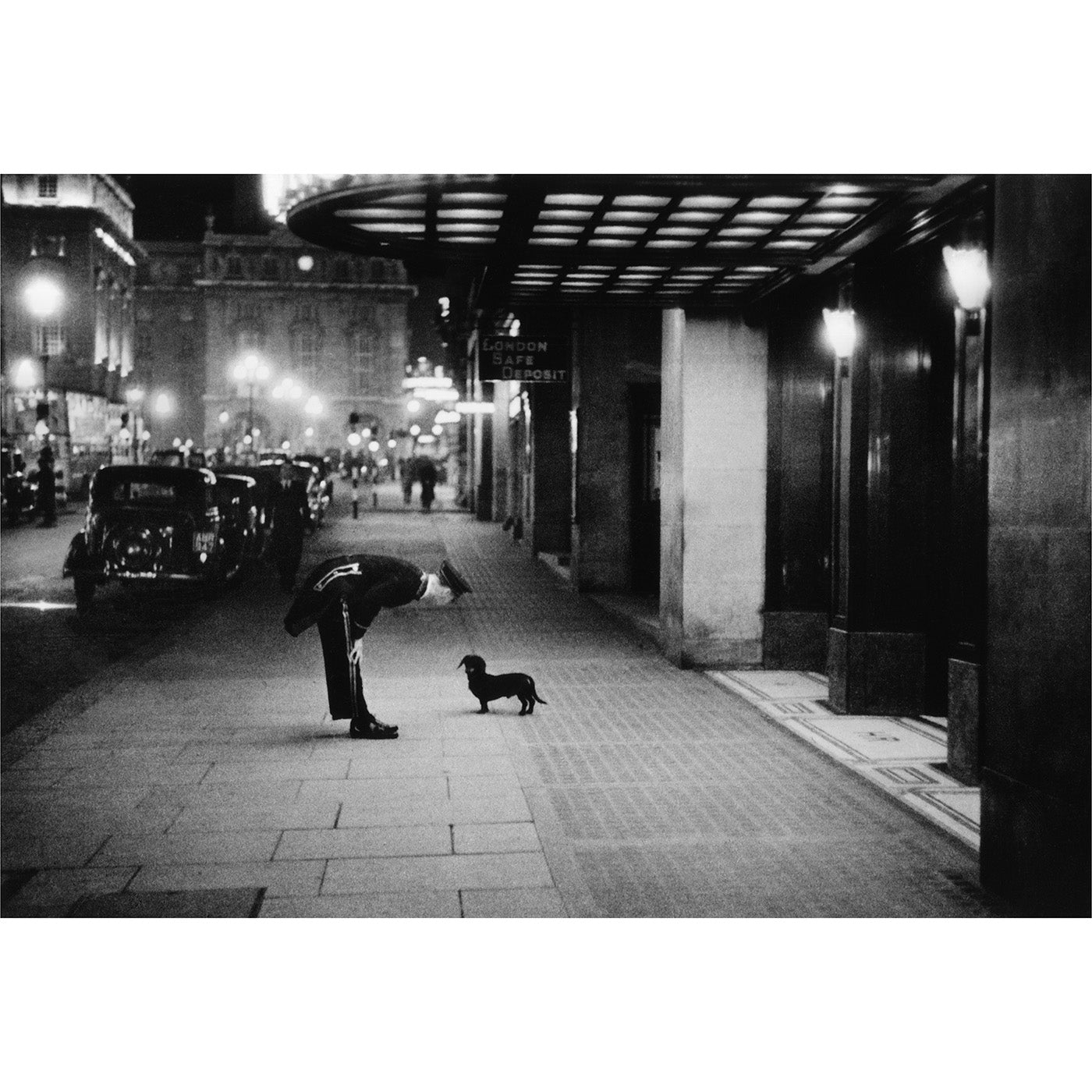 Commissionaire's Dog - High-Quality Stock Photo from Getty Images | Perfect for Blogs, Social Media & Editorial Use
