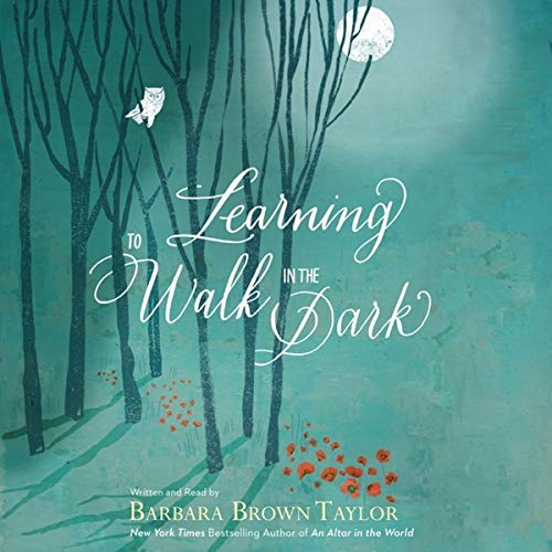 Learning to Walk in the Dark - Spiritual Growth & Faith Development Book for Christians - Perfect for Bible Study, Personal Reflection & Overcoming Life's Challenges