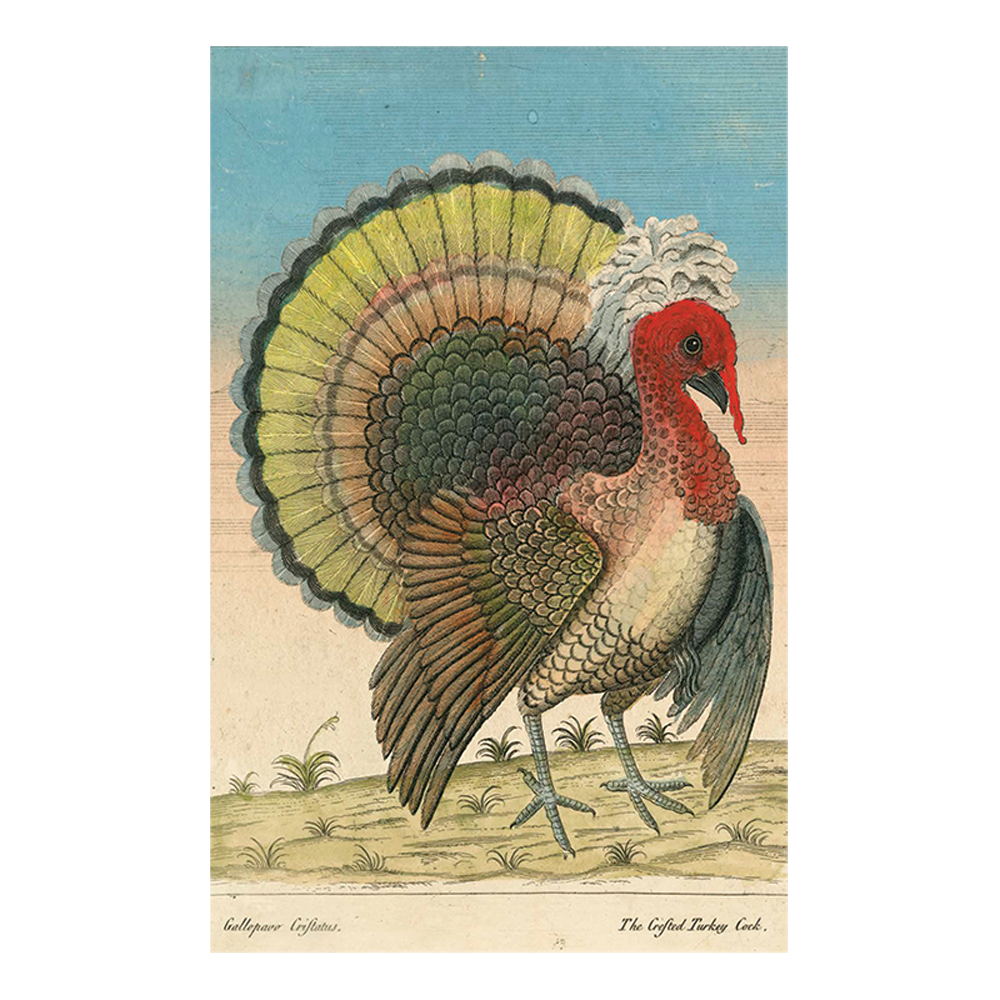 Premium Crested Turkey Decoration - Handcrafted Thanksgiving & Christmas Holiday Decor for Home, Table Centerpiece, and Festive Party Decorations