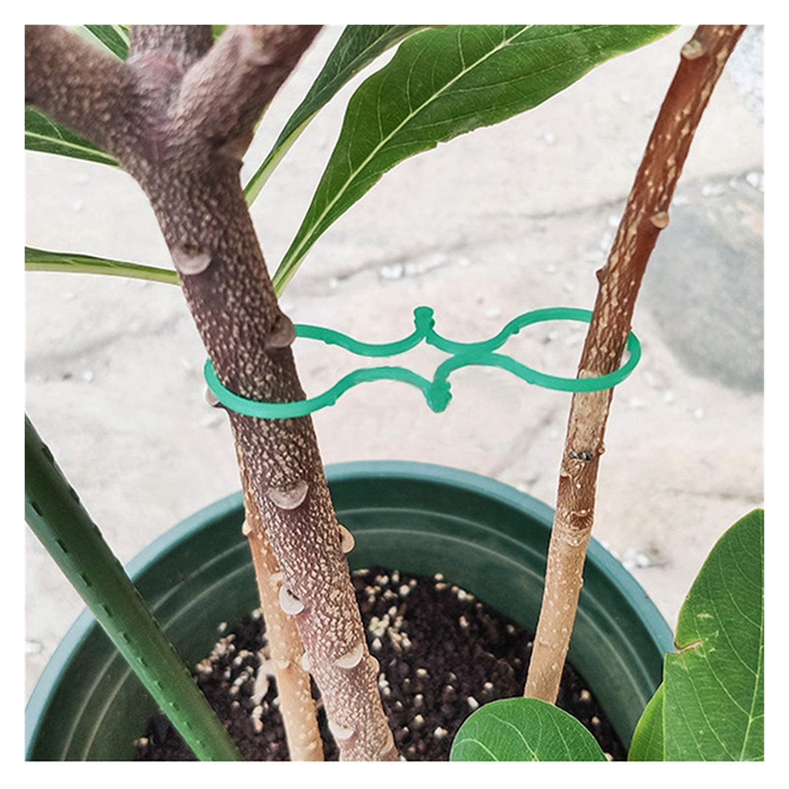 **27mm Heavy Duty Reusable Plant Support Clips - 20 Pack Plastic Garden Clamps for Hanging Vines, Tomatoes, Vegetables & Houseplants | Indoor & Outdoor Gardening Accessories**