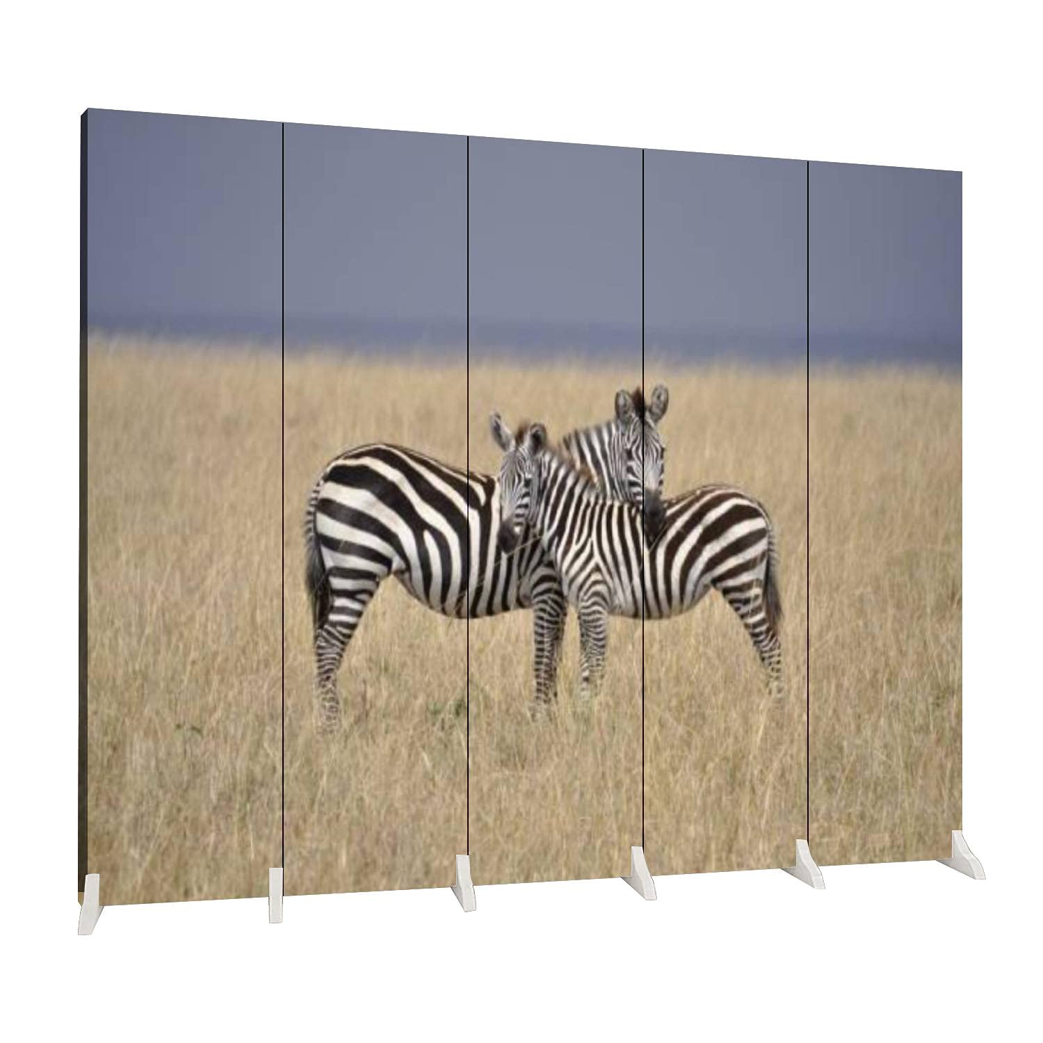 Dola-Dola 5 Panel Folding Room Divider - African Savannah Zebra Print Canvas Privacy Screen for Home & Office | Freestanding Partition for Bedroom, Living Room, and Workspace Separation