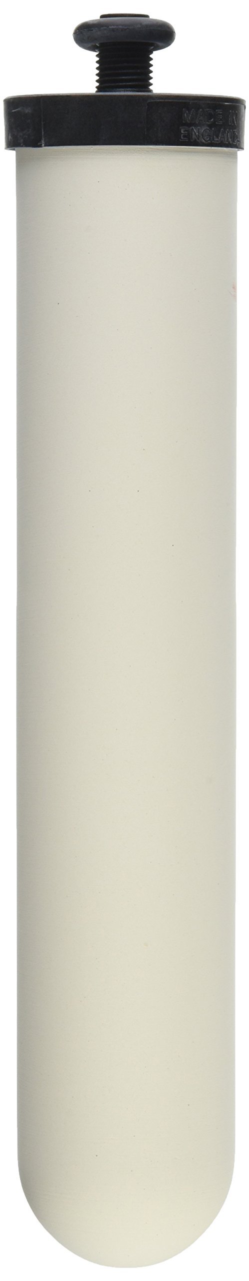 Doulton Ultracarb 10-Inch Water Filter Candle Replacement - 4 Pack (W9123053) - Pure Drinking Water for Home, Camping & Emergency Preparedness