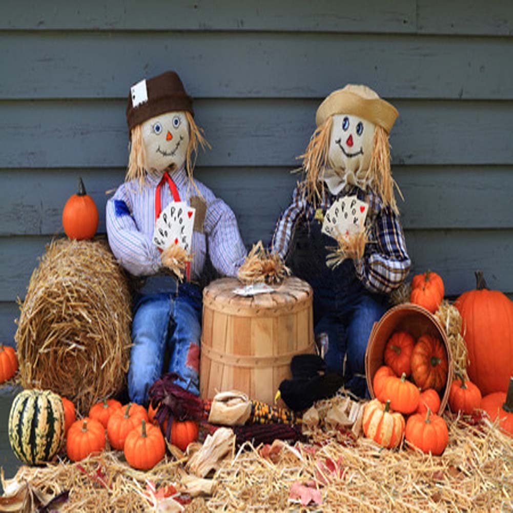 Cute Scarecrow 10x10ft Harvest Backdrop for Photography - Party & Event Decor