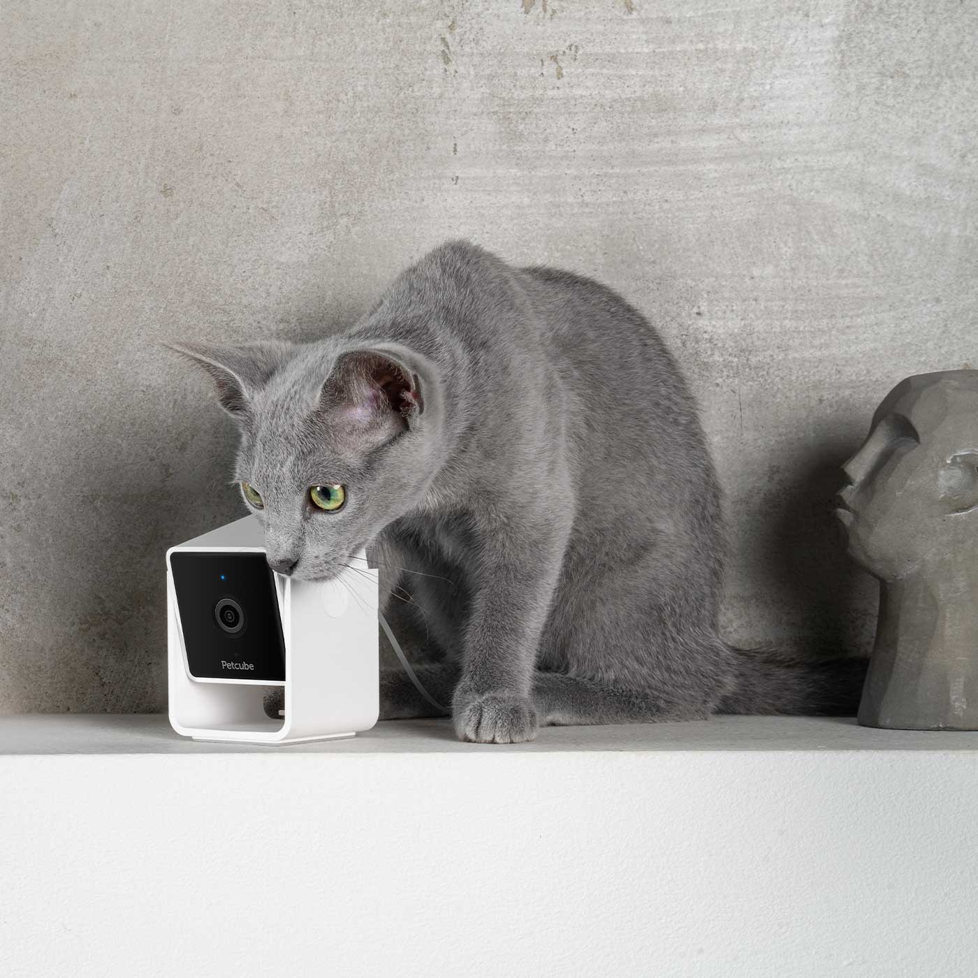 Petcube 2-Way Audio HD Pet Camera with Night Vision - Monitor & Talk to Your Dog or Cat at Home, Day or Night