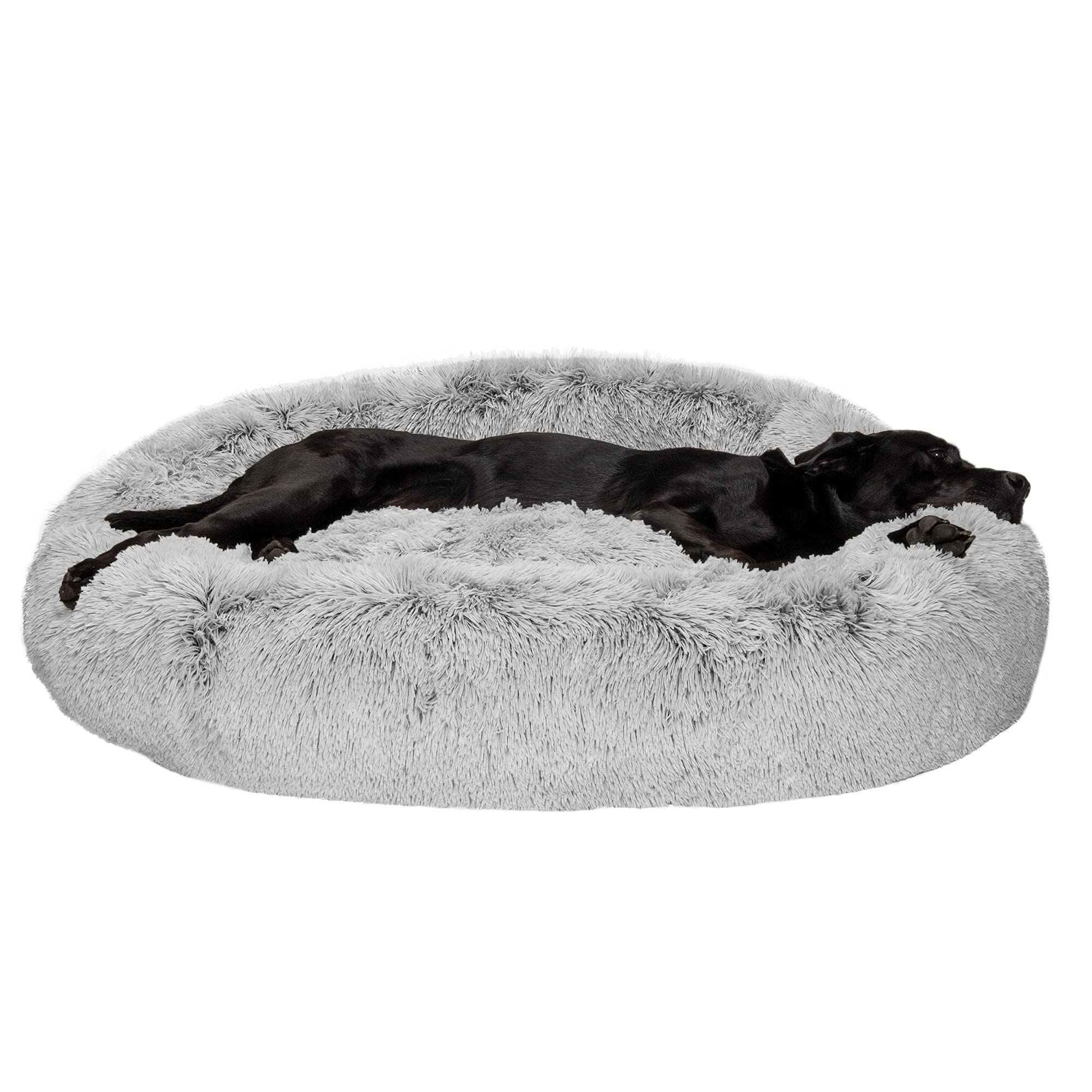 Furhaven 45