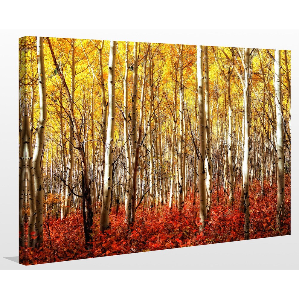 Birch Trees Giclee Print Canvas Wall Art - Handmade Nature Landscape Painting for Living Room & Bedroom Decor