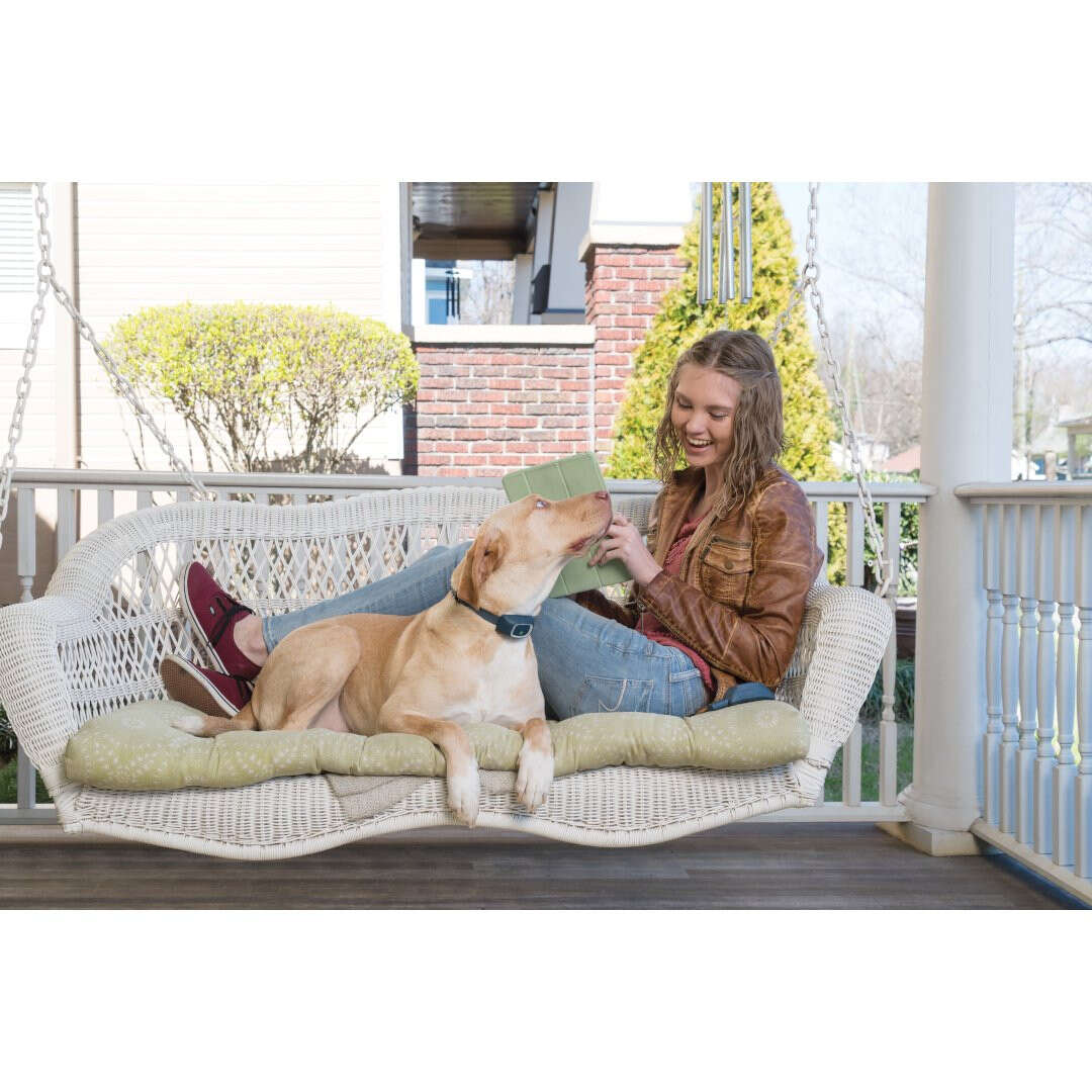 PetSafe 300 Yard Remote Dog Trainer - Long Range (275m) Dog Training Collar with Vibration & Tone - Perfect for Obedience Training, Bark Control & Outdoor Adventures
