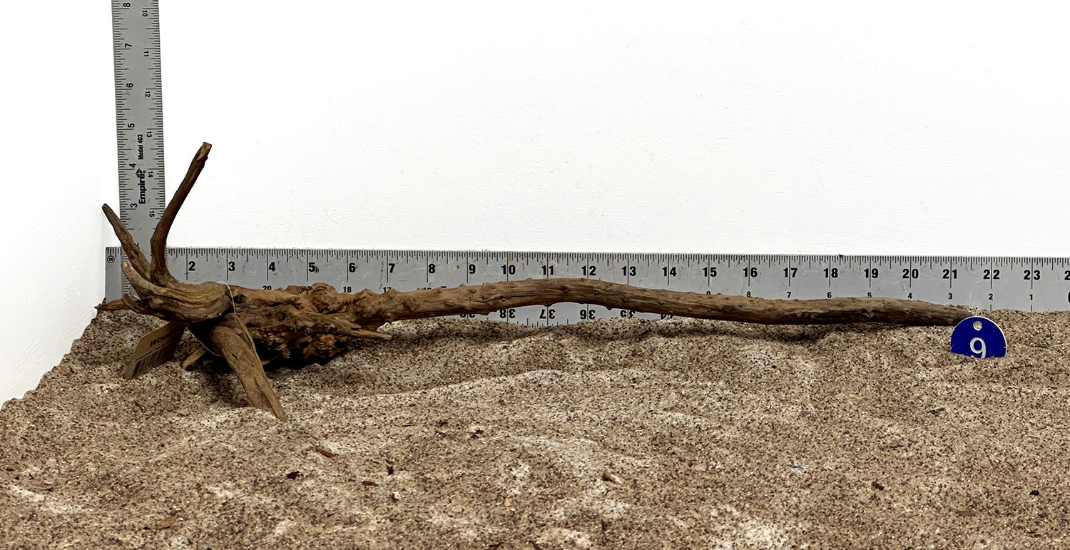 Premium Pine Spider Wood / Tiger Wood (Large) - Natural Aquarium Driftwood for Fish Tanks, Reptile Habitats & Terrarium Decor - WYSIWYG #9BU
