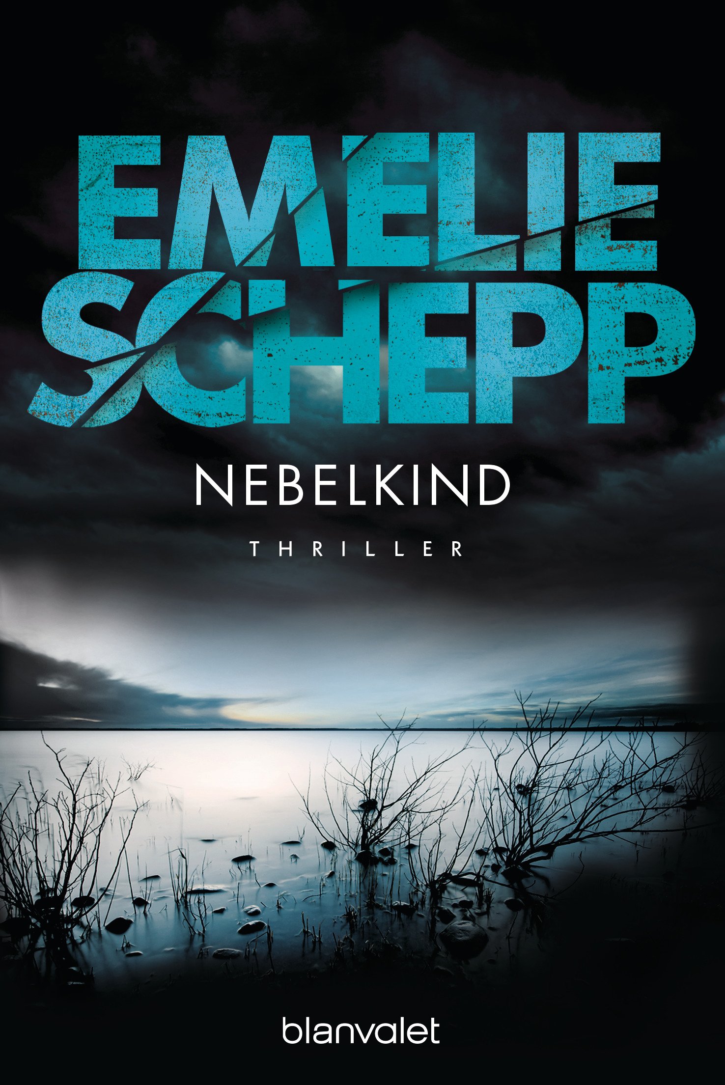 Nebelkind Thriller Novel - Gripping Suspense for Mystery Lovers