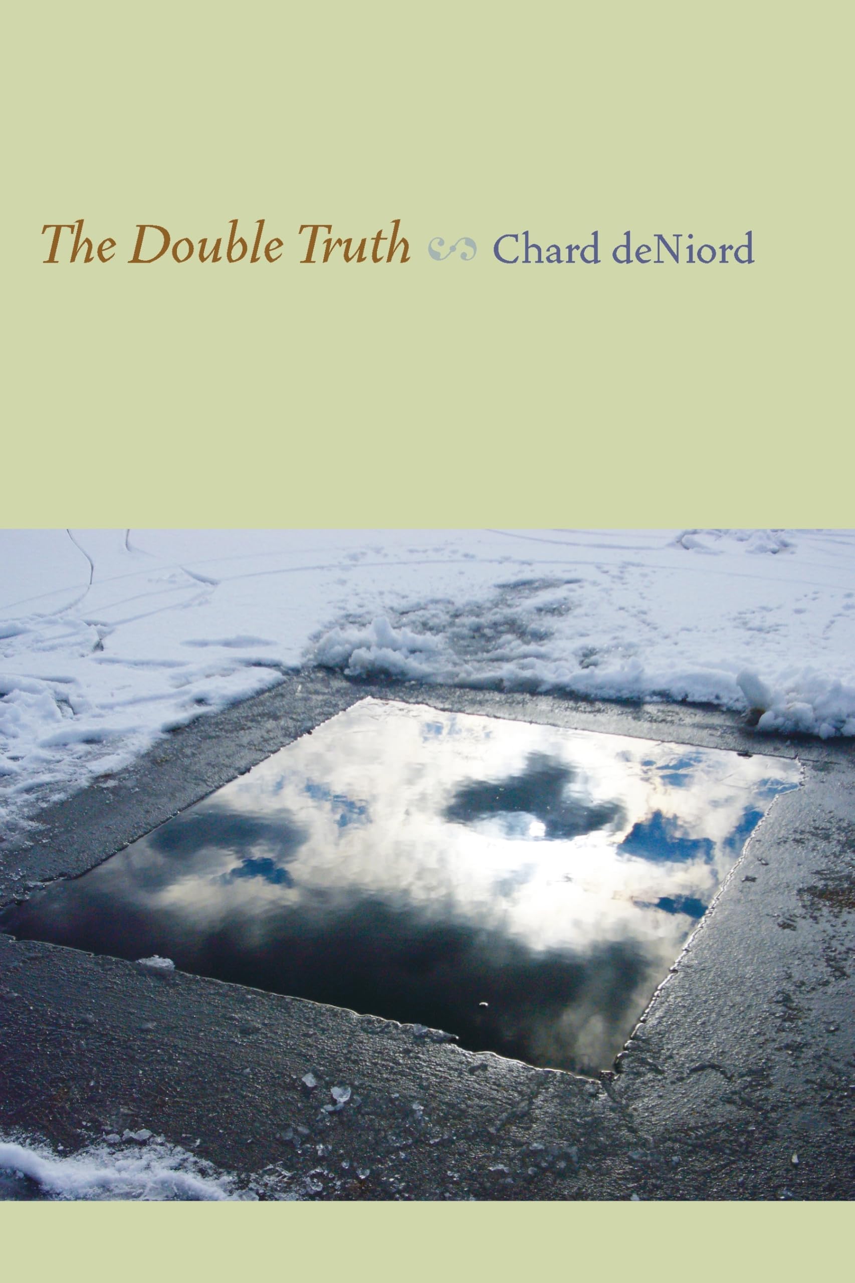The Double Truth (Pitt Poetry Series) - Award-Winning Poetry Collection for Literature Lovers & Book Clubs | Perfect Gift for Poetry Enthusiasts
