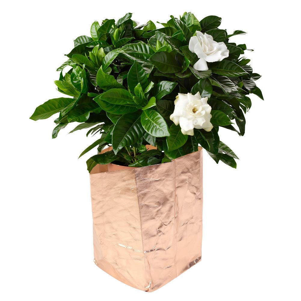 Eco-Friendly Kraft Paper Washable Reusable Plant Growing Bags - Durable Garden & Balcony Planting Containers for Roses, Herbs, Vegetables | Perfect for Indoor/Outdoor Gardening, Sustainable Gift Packaging