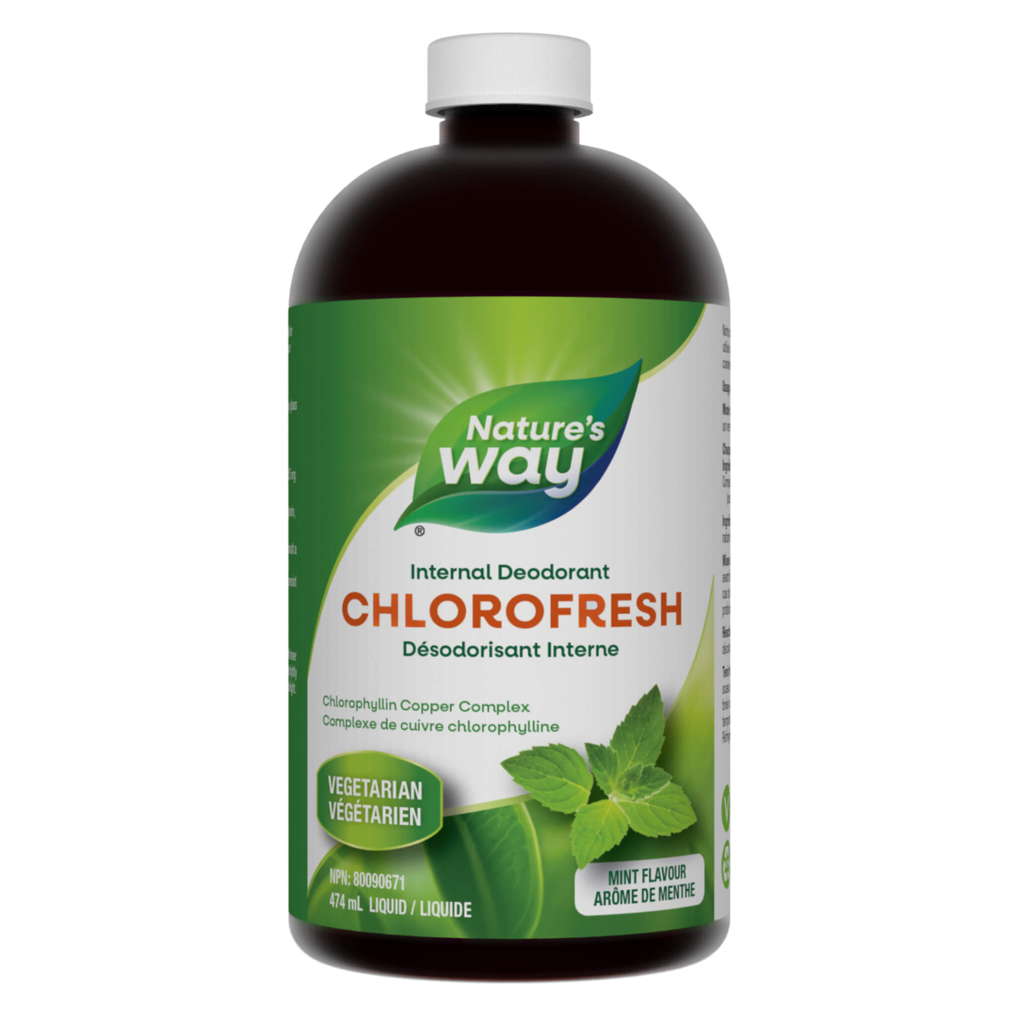 Chlorofresh Mint Flavor Mouthwash - Refreshing Oral Rinse for Bad Breath, Plaque Control & Gum Health - Ideal for Daily Use, Travel & Post-Meal Freshness