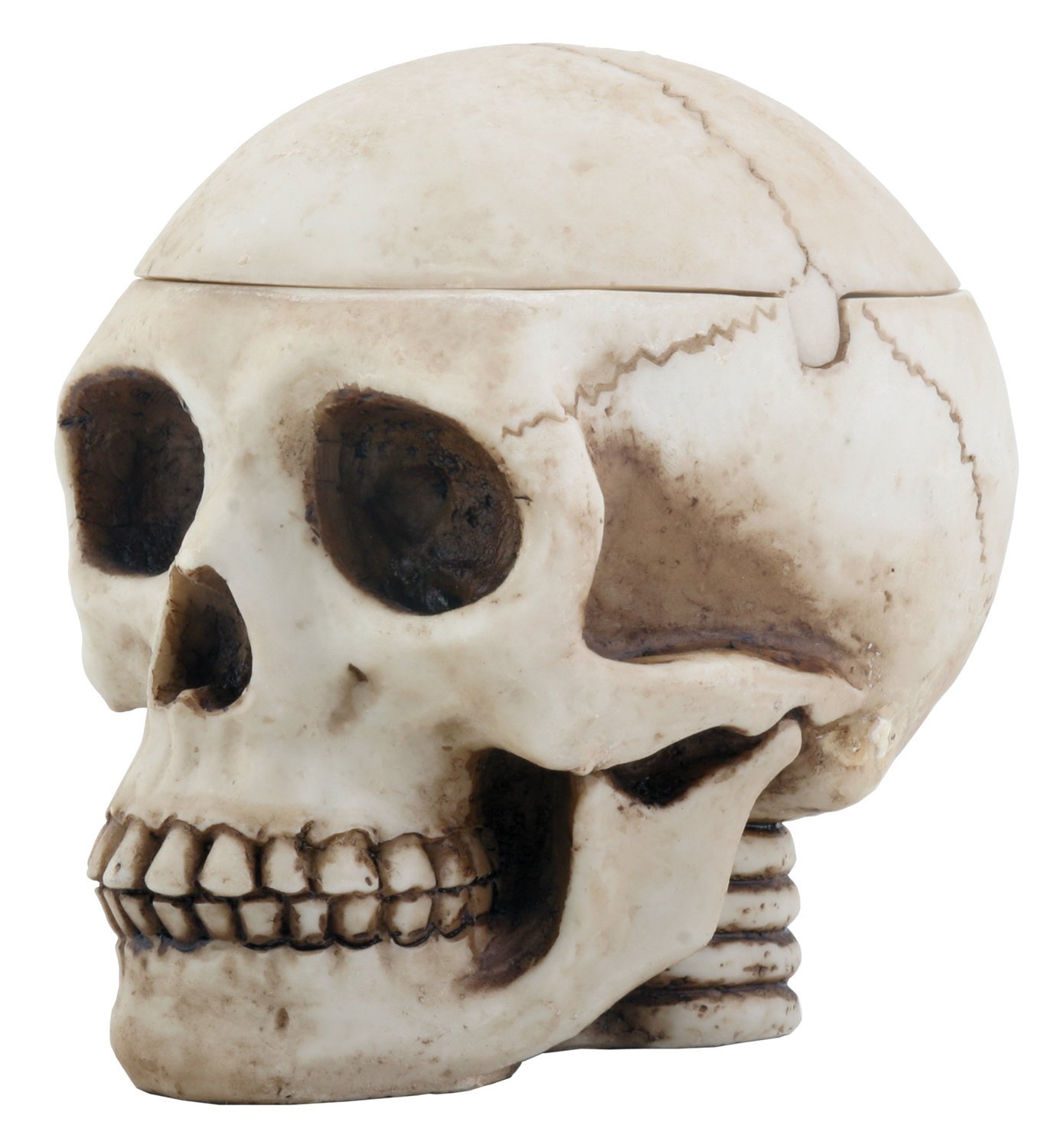 Skull Head Ashtray - Unique Gothic Decor for Home, Office & Smoking Accessories - Perfect for Halloween, Parties & Man Cave Display