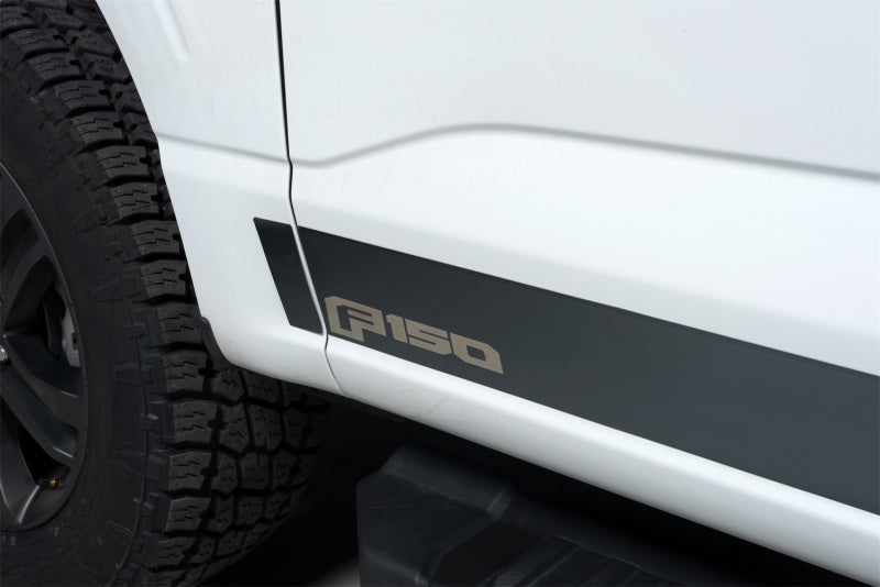 10pcs 4.25in Wide Stainless Steel Rocker Panels for 2021-2024 Ford F-150 Truck | Durable Rust Protection & Style Upgrade | Perfect for Off-Roading & Daily Driving