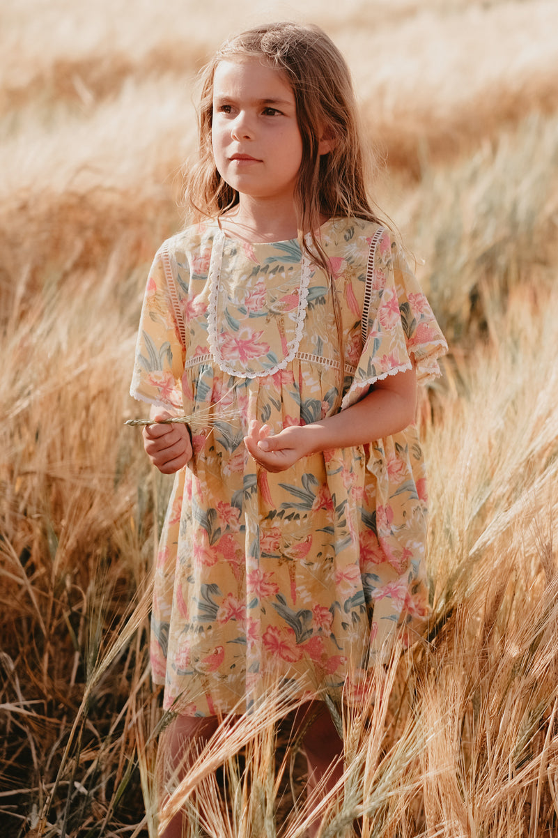 Louise Misha Christina Girls Dress - Size 6 - Elegant Floral Summer Party Dress for Kids Birthday, Easter & Special Occasions
