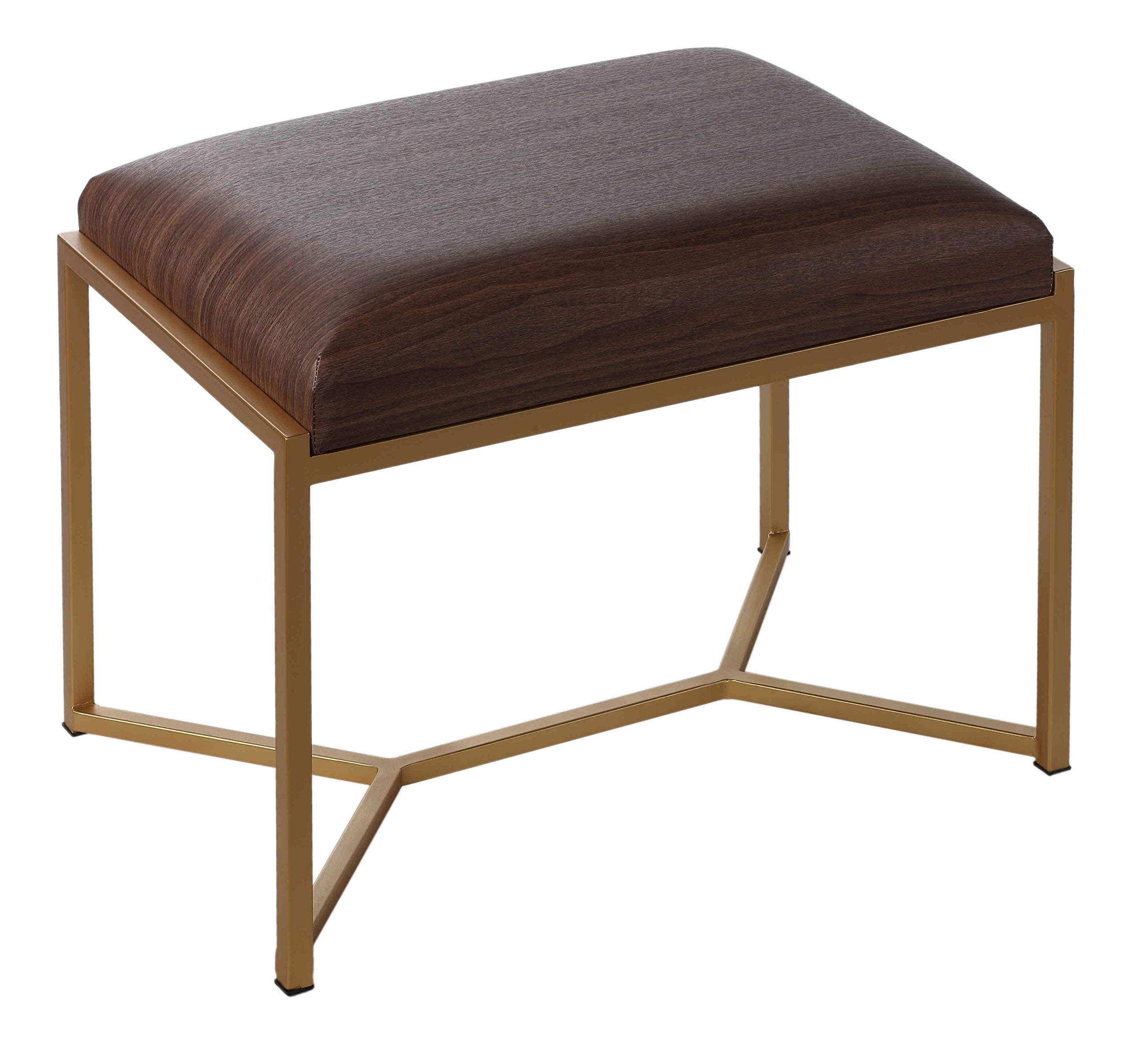 Cortesi Home Lashe Ottoman with Brushed Gold Legs - Modern Living Room Footstool, Accent Chair, and Stylish Home Decor for Cozy Spaces