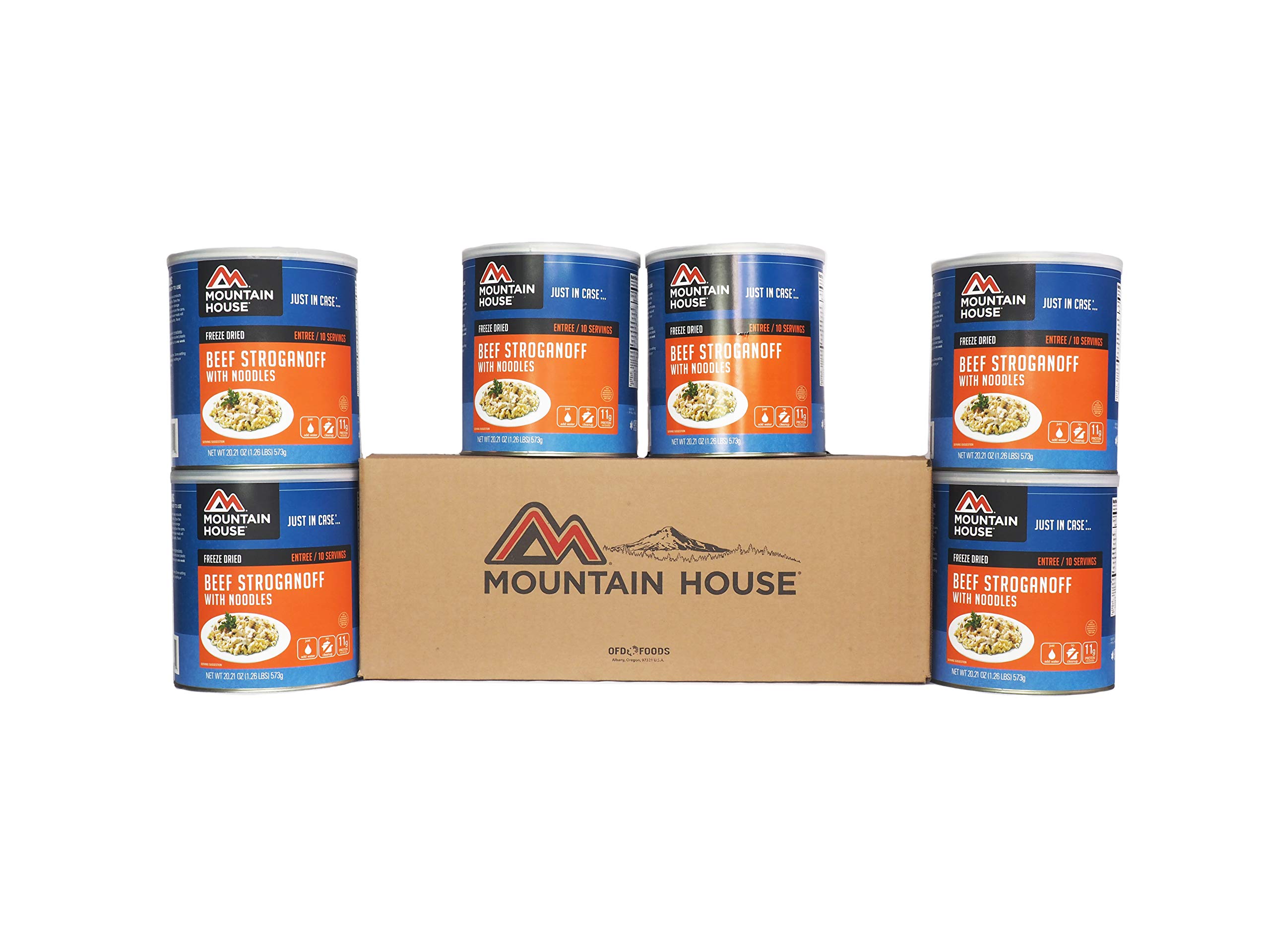 Mountain House Beef Stroganoff with Noodles | Freeze Dried Backpacking Food for Camping, Hiking & Emergency Preparedness | Lightweight Meal for Outdoor Adventures