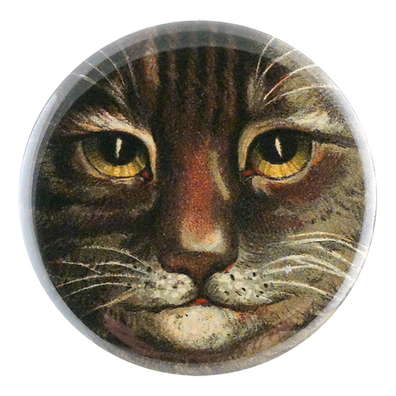Country Cat Close Up - High-Quality Cat Photography Print for Home Decor & Gifts - Perfect for Living Rooms, Bedrooms & Offices