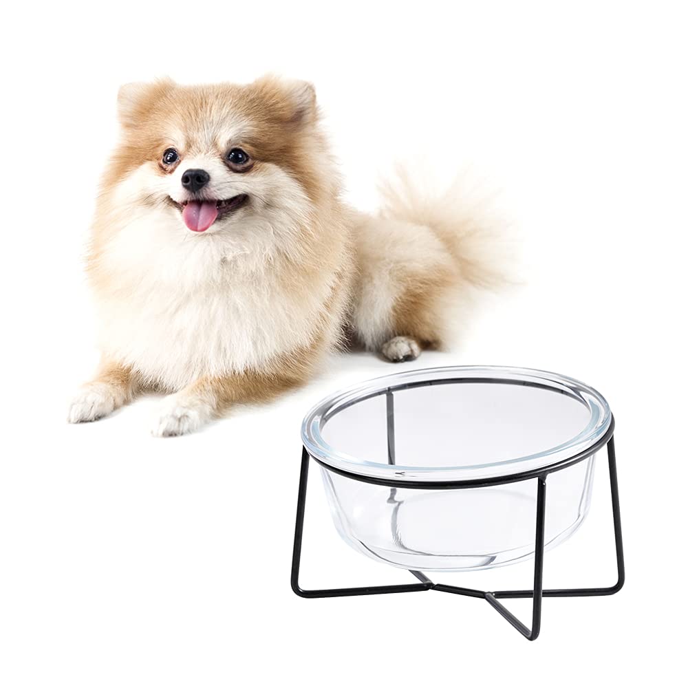 Elevated Ceramic Cat Bowl with Metal Stand - 20.3oz Tilted Pet Food & Water Dish for Cats & Small Dogs - Microwave & Dishwasher Safe - Perfect for Home, Kitchen & Pet Feeding Station