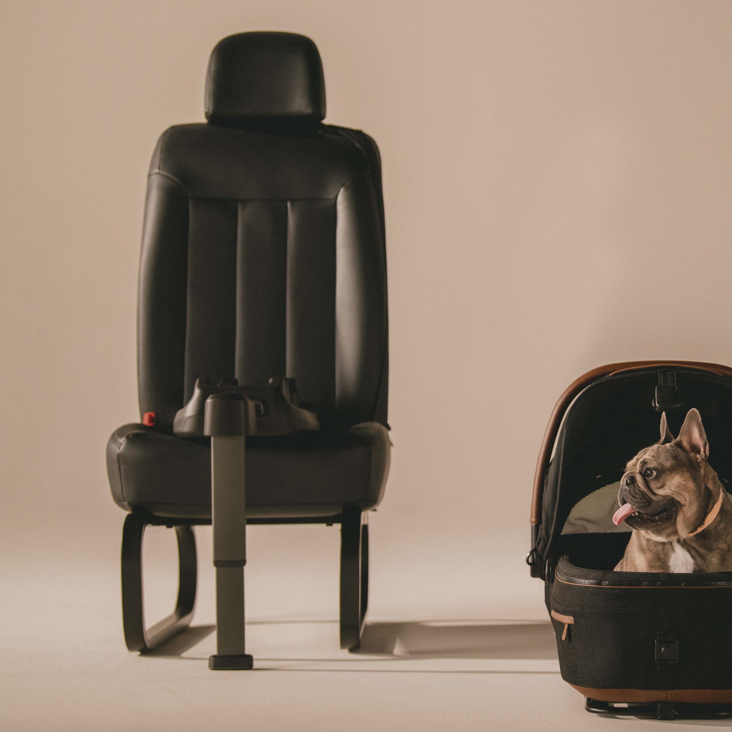 Nuna Tavo Pets Vehicle Base for Maeve™ Pet Car Seat - Secure & Comfortable Travel Solution for Small Dogs & Cats in Cars