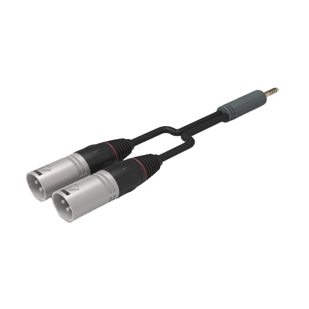 iFi 4.4mm to XLR Balanced Audio Cable - Premium Standard Edition for HiFi Headphones & Professional Studio Equipment