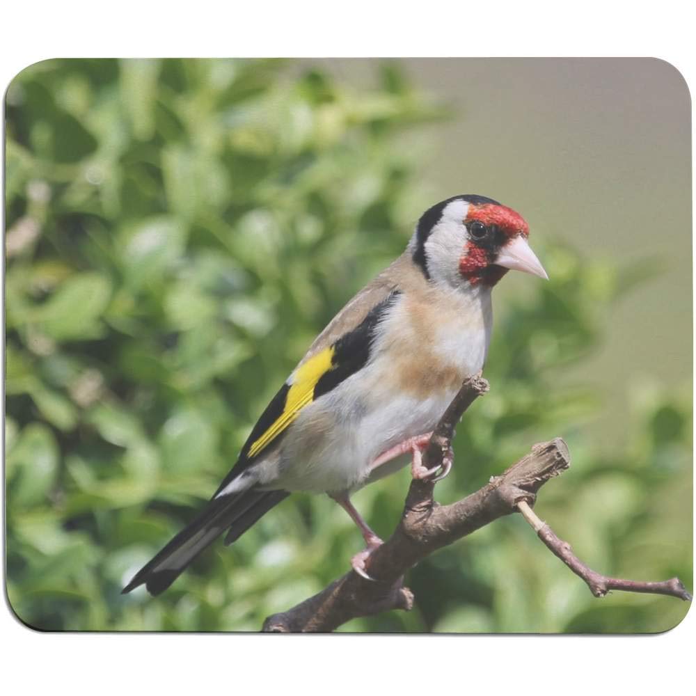 Azeeda 'Goldfinch' Premium Mouse Pad & Desk Mat - Non-Slip Rubber Base, Smooth Surface for Precise Tracking - Perfect for Office, Gaming, and Home Workspace (MO00000389)