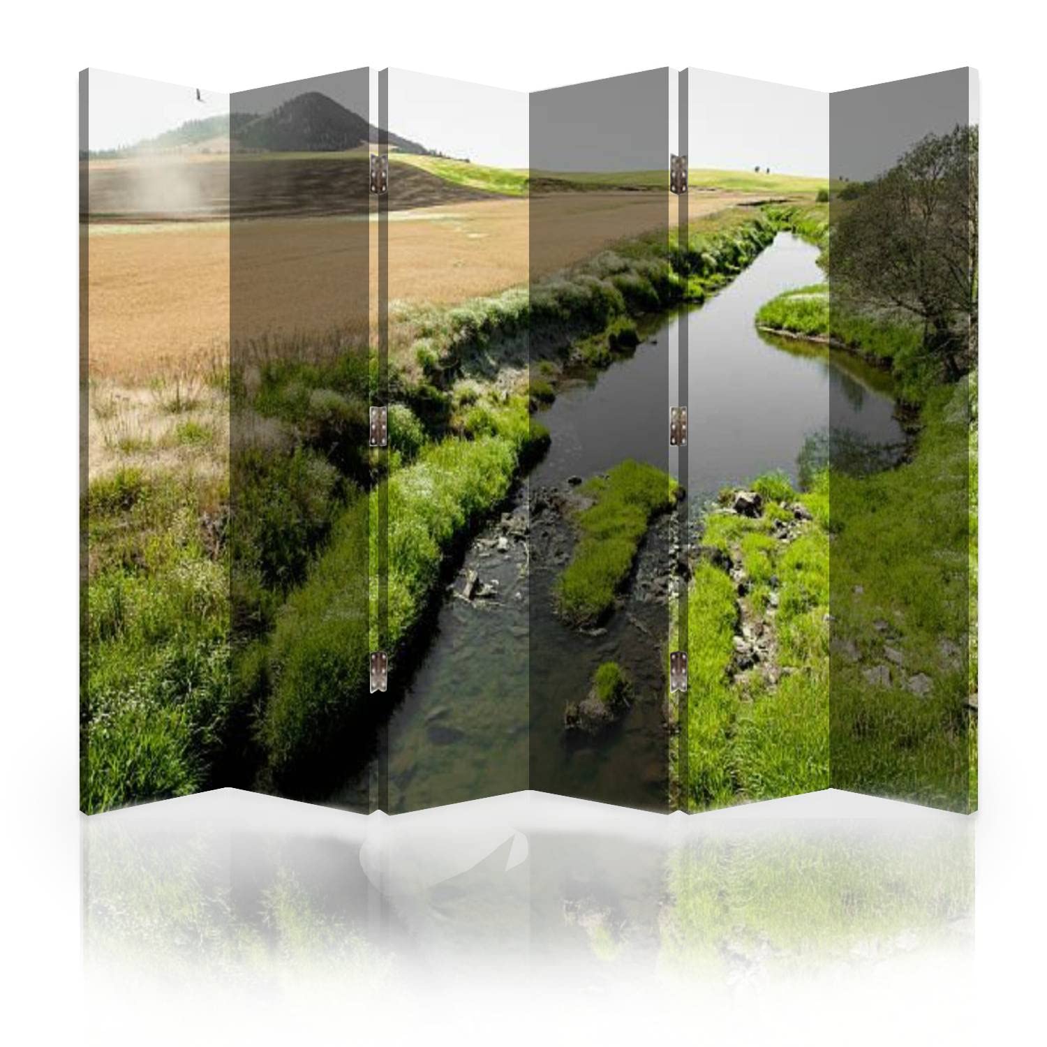 Palouse Green 6-Panel Canvas Room Divider Screen - Foldable Privacy Partition Wall Separator for Bedroom, Office & Living Space | Home Decor & Space Organizer
