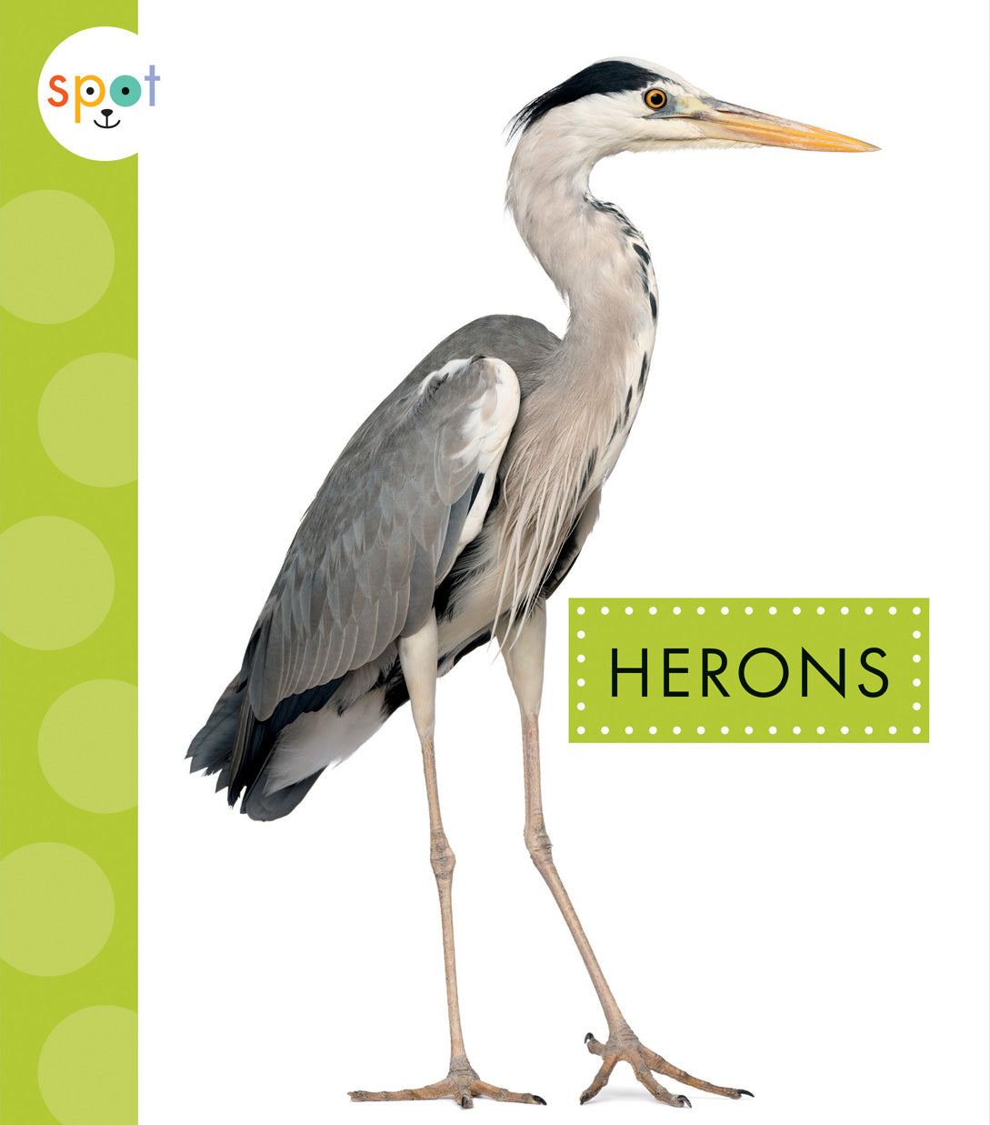 Herons - Premium Outdoor & Home Decor for Garden, Patio, and Living Room | Perfect for Bird Lovers & Nature-Inspired Interior Design