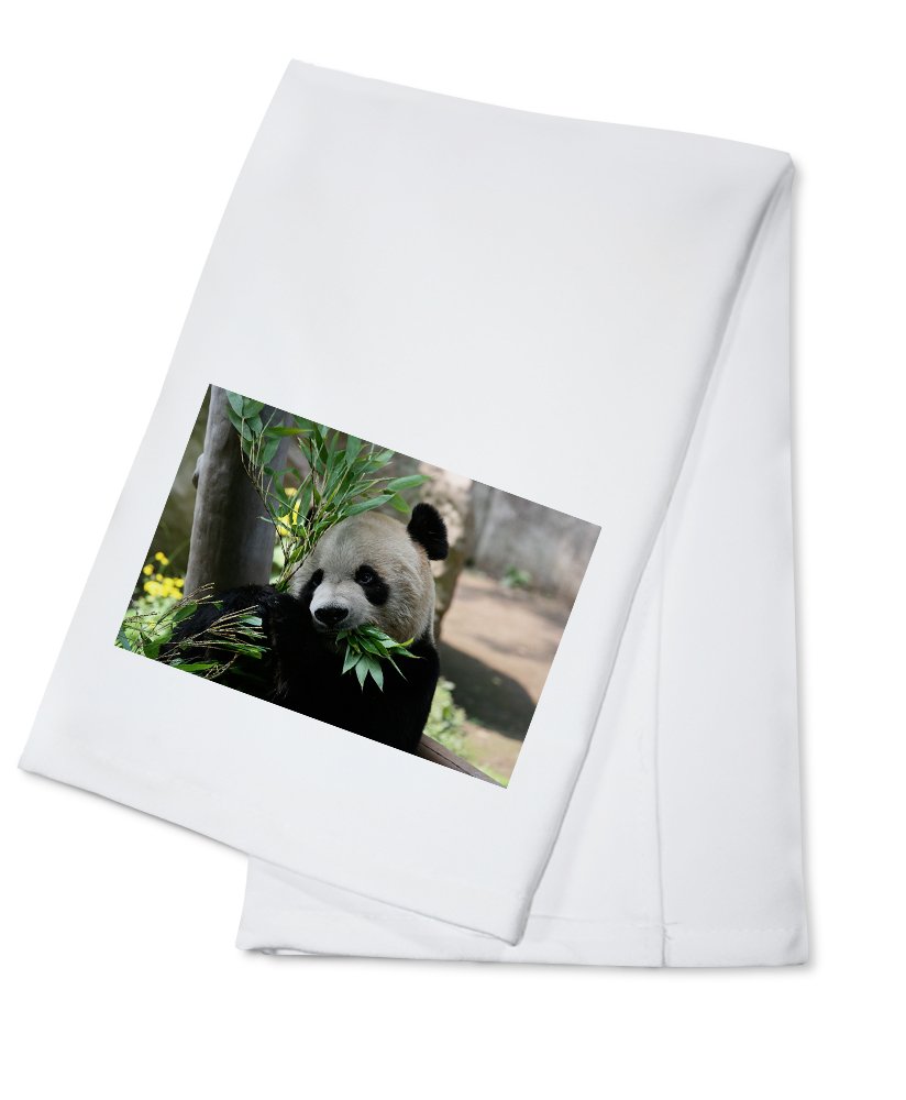 Premium 100% Cotton Panda Tea Towel - Absorbent Kitchen Hand Towel & Decorative Home Accent for Dish Drying, Gift Giving, and Cozy Farmhouse Decor