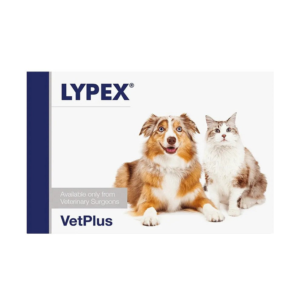 Lypex Pancreatic Enzyme Supplement for Dogs & Cats - Digestive Support for Pets with EPI, Pancreatitis & Food Intolerance | Vet-Recommended Formula for Improved Nutrient Absorption & Healthy Digestion | Perfect for Mealtime Mixing with Wet or Dry Food