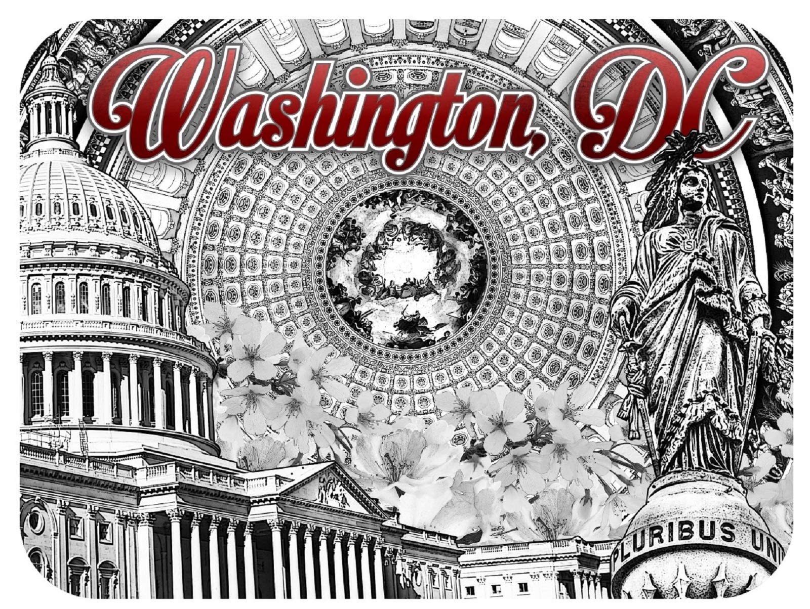 Washington D.C. Souvenir Fridge Magnet - Black and White Landmark Design - Perfect for Travel Memories, Office Decor & Gift Ideas