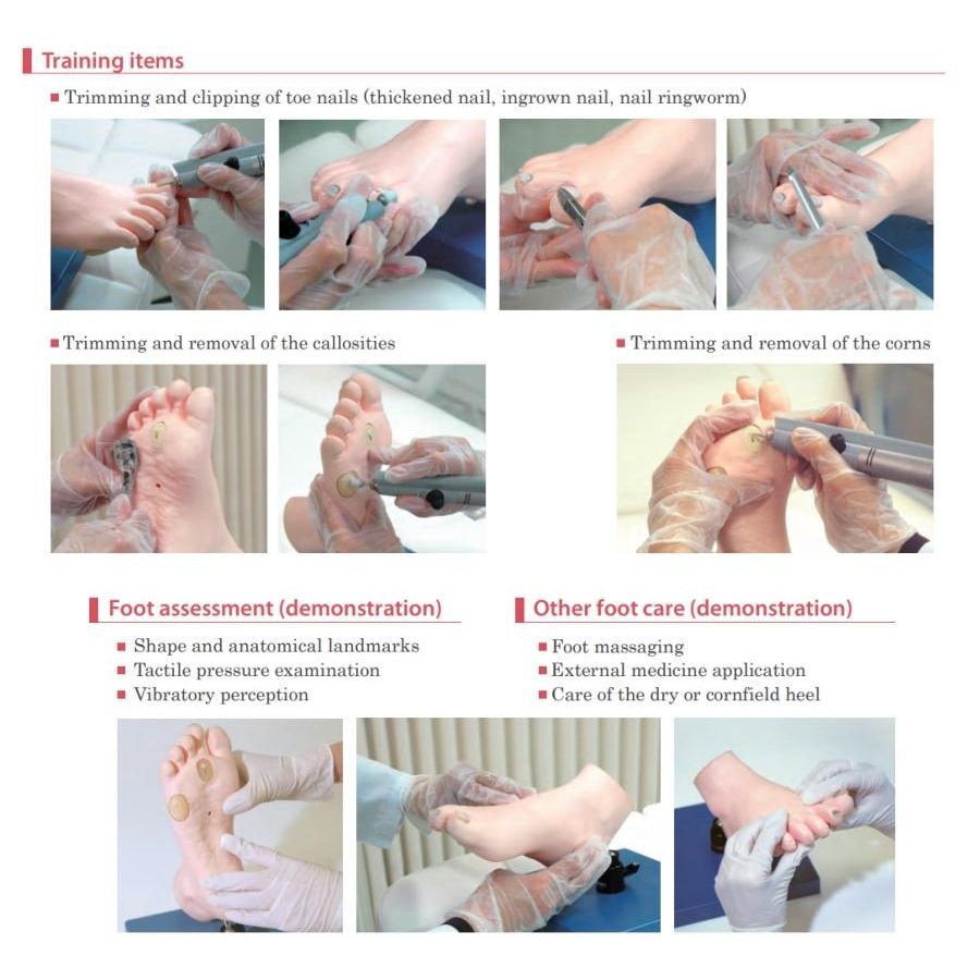 Professional Foot Care Model with Nails & Calluses - Perfect for Podiatry Training, Medical Education & Pedicure Practice