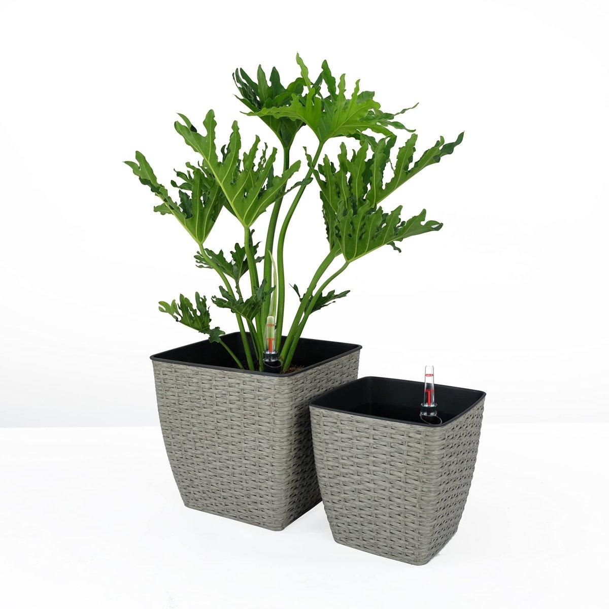 DTY Signature 2-Pack Self-Watering Planters - Handwoven Wicker Square Plant Pots for Indoor/Outdoor Decor - Perfect for Home, Office, and Garden Use