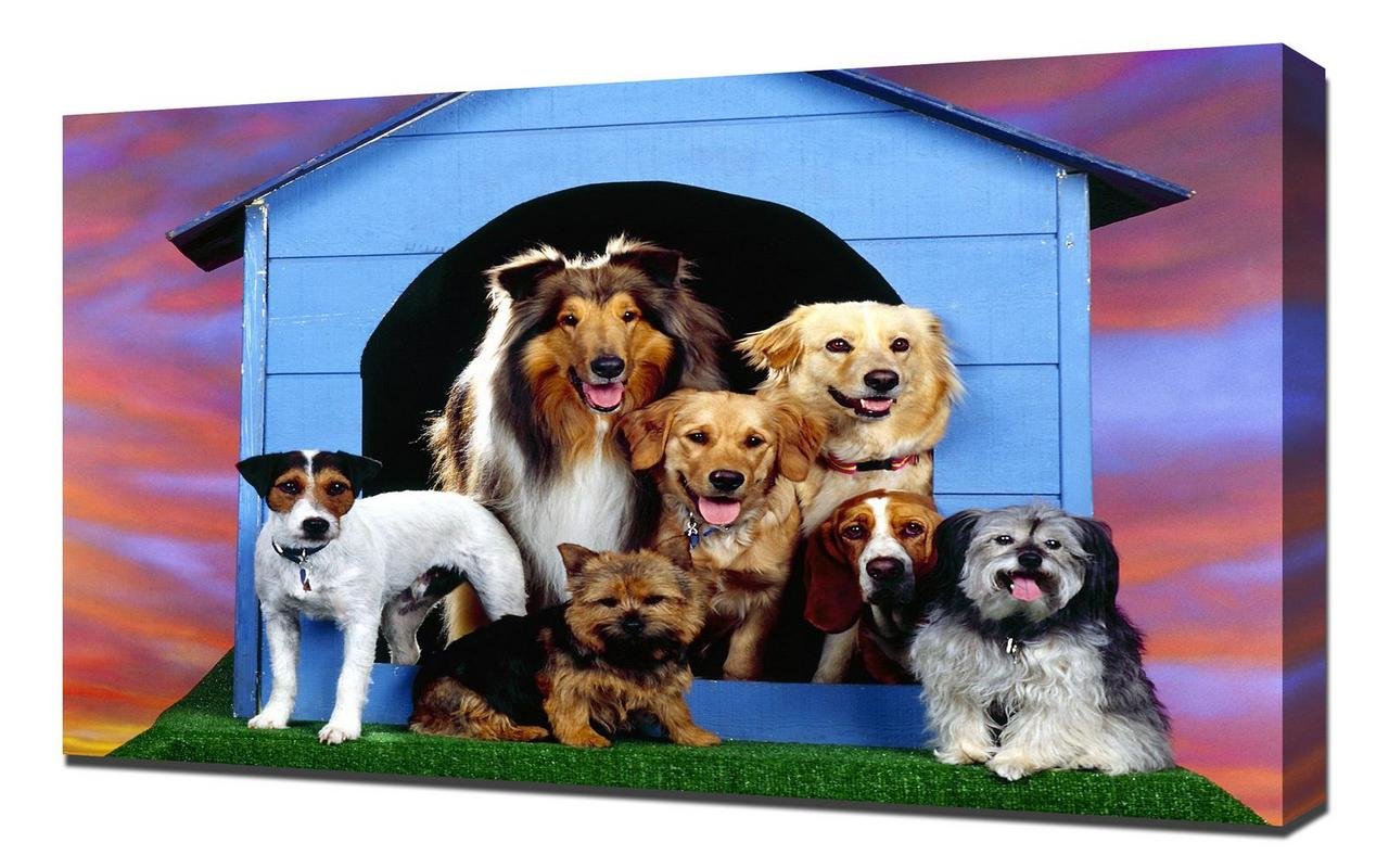 Compatible With Full Kennel Canvas Art Print - Premium Wall Art Decor for Living Room, Bedroom & Office - Stretched Canvas Wrap Ready to Hang