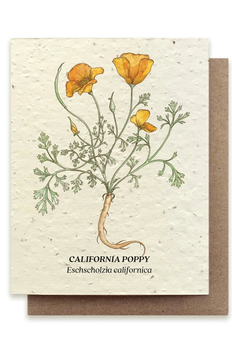 Eco-Friendly California Poppy Seeded Greeting Card - Plantable Wildflower Gift for Birthdays, Weddings & Earth Day Celebrations