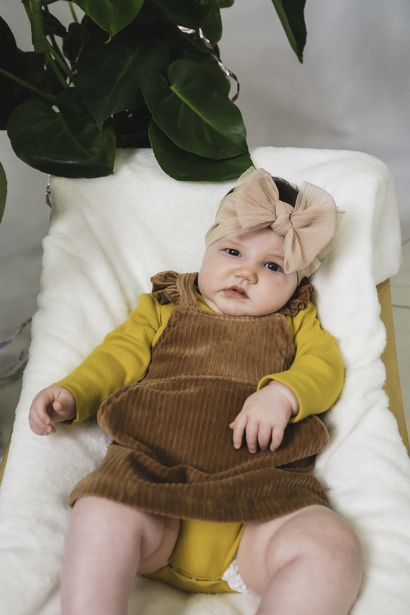 Brown Corduroy Rib Alyssa Dress for Baby Girls - Soft & Stylish Outfit for Playdates, Parties & Family Photos