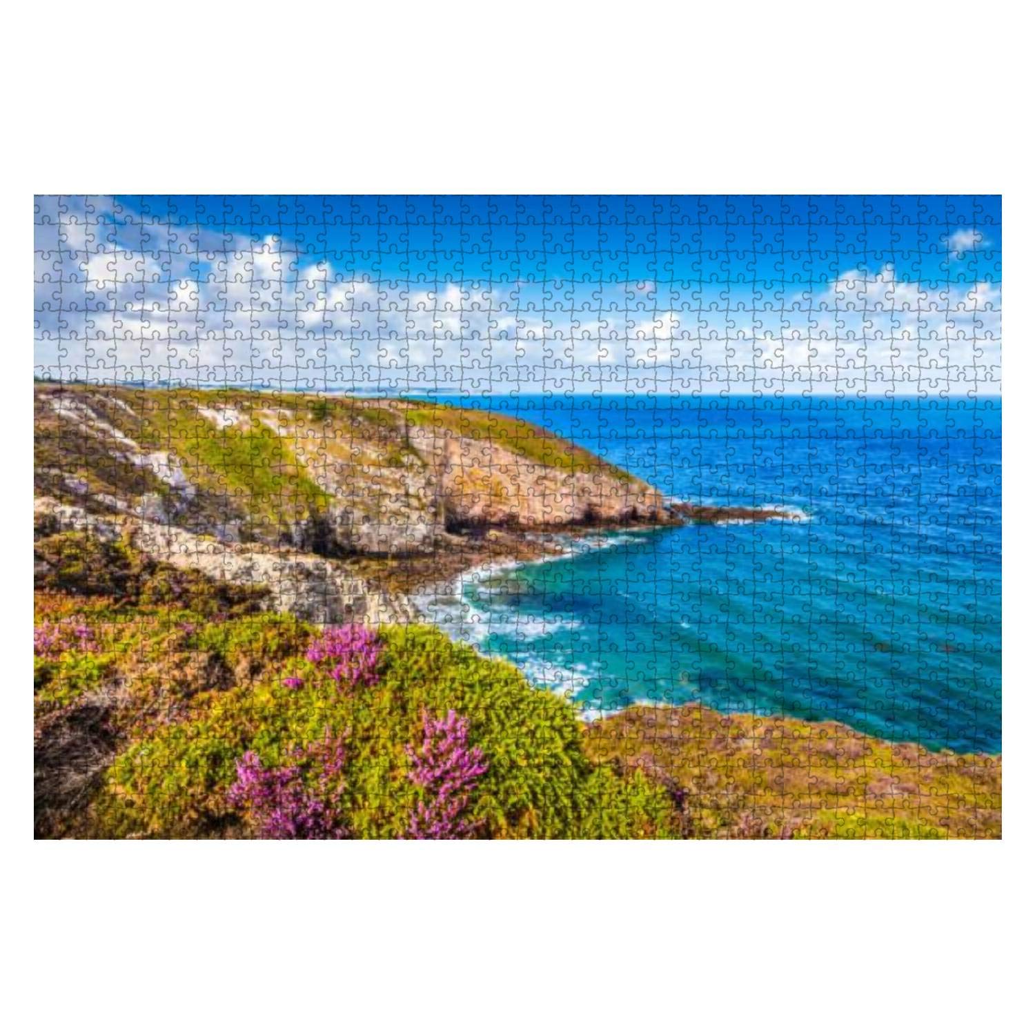1000-Piece Wooden Jigsaw Puzzle - Cap Frehel Peninsula Bretagne France Seashore Flowers Landscape - Educational Puzzle for Adults & Kids - Stress Relief & Family Game Night Activity