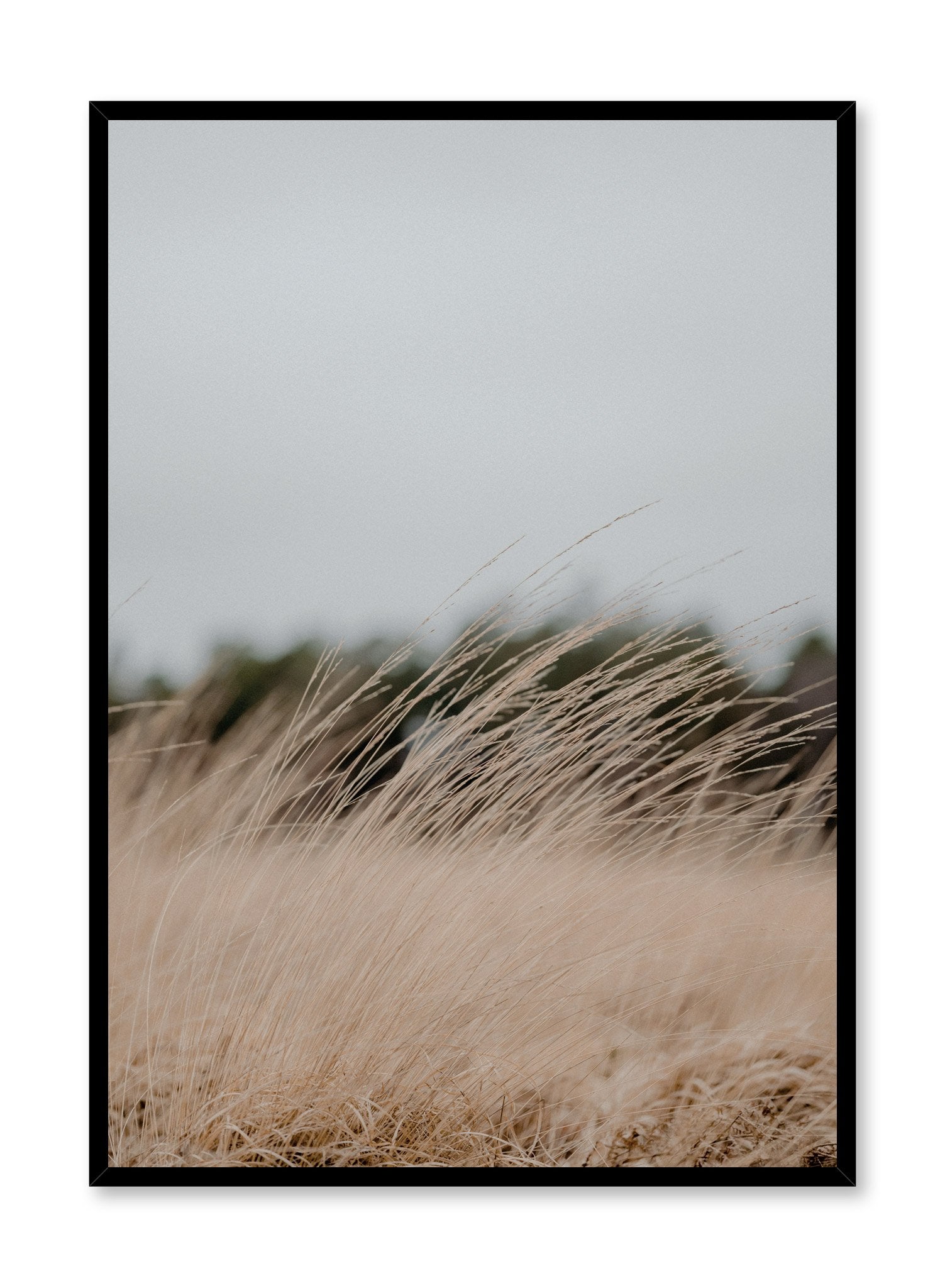 Autumn Breeze Wall Art Poster - Fall Landscape Decor for Living Room, Bedroom & Office - Seasonal Home Decoration