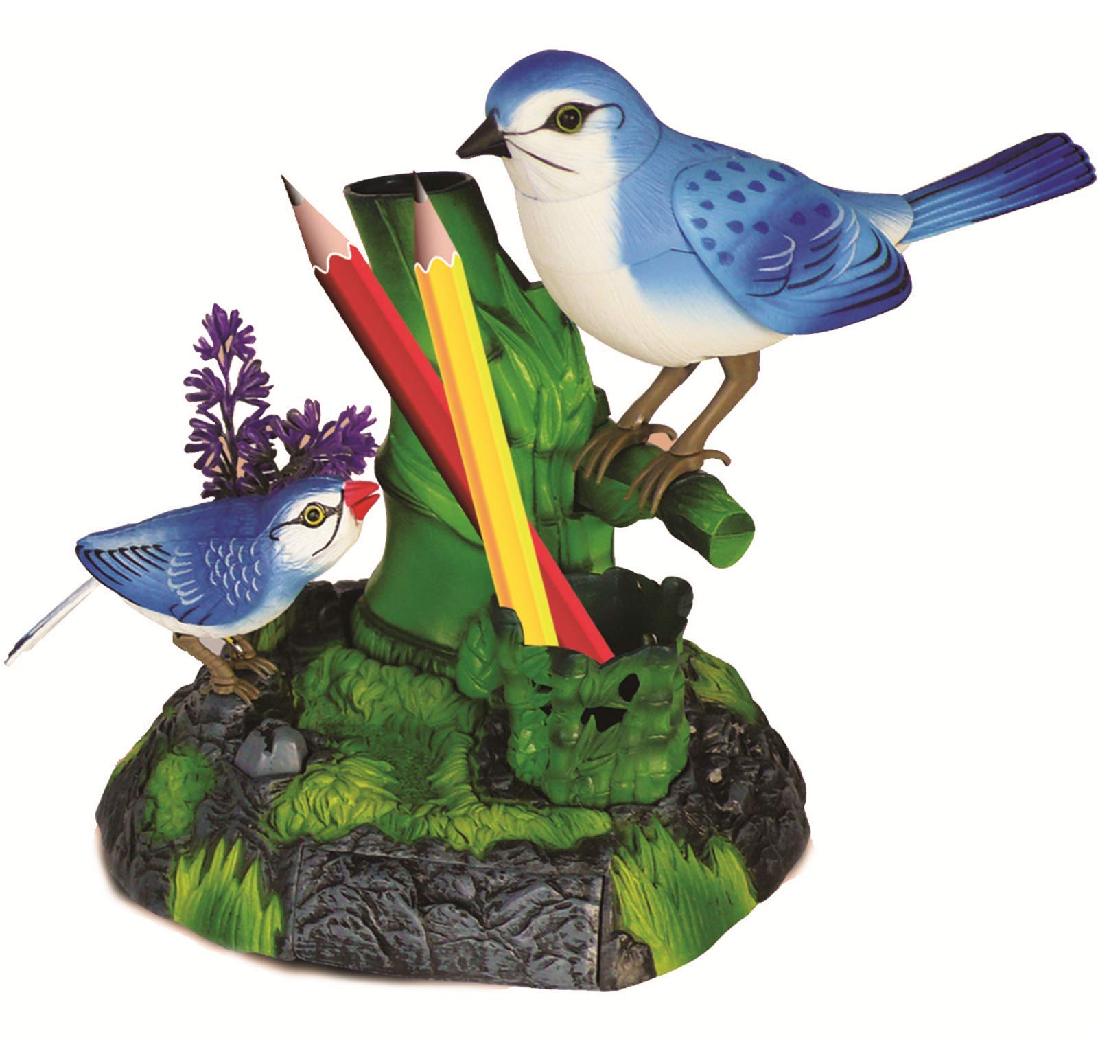 Haktoys Battery Operated Singing Chirping Birds with Pen Holder & Mini Drawer - Realistic Motion & Sound Toy (Batteries Included) | Perfect Office Desk Decor, Home Decor & Gift Idea for Bird Lovers