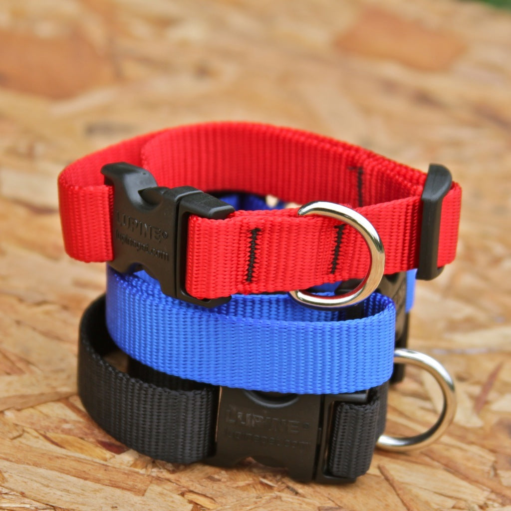 Lupine 3/4 Solid Dog Collar - Durable Nylon Pet Collar for Small & Medium Dogs - Perfect for Walking, Training & Everyday Use
