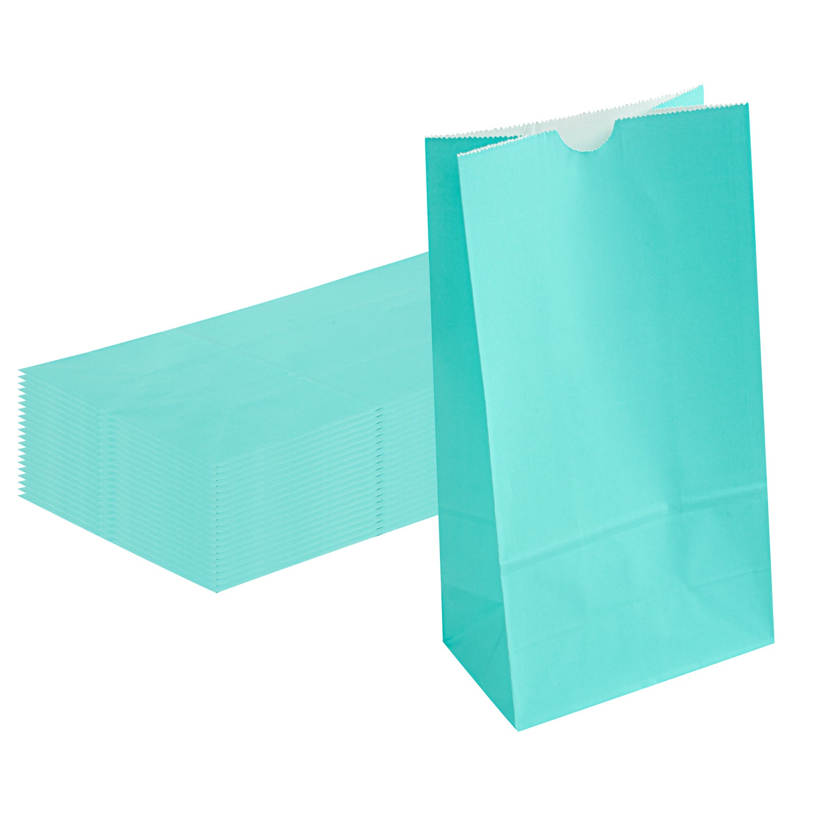 Premium Turquoise Paper Bags - 6 lbs, 6