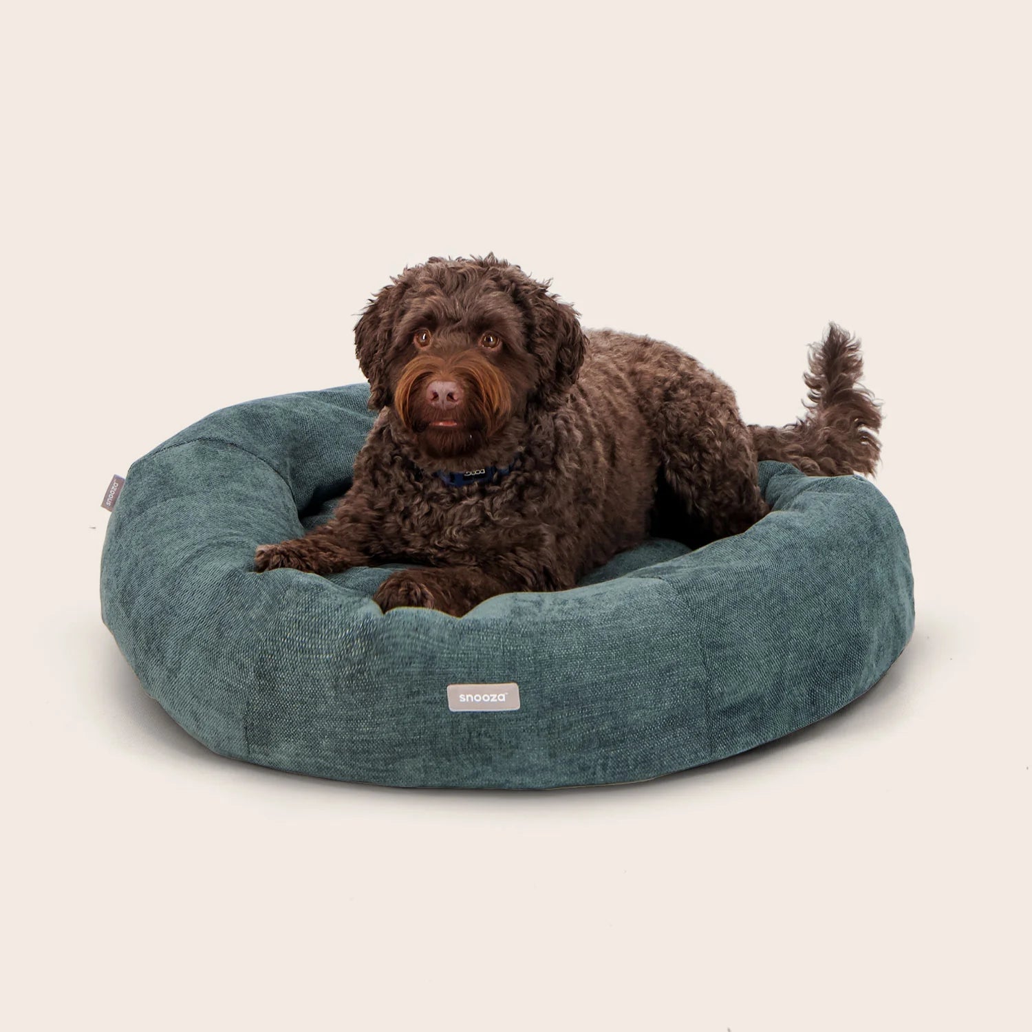 Premium Orthopedic Panelled Cuddler Dog Bed for Small & Medium Dogs - Soft Plush Washable Pet Bed with Removable Cover - Perfect for Crates, Kennels & Home Use