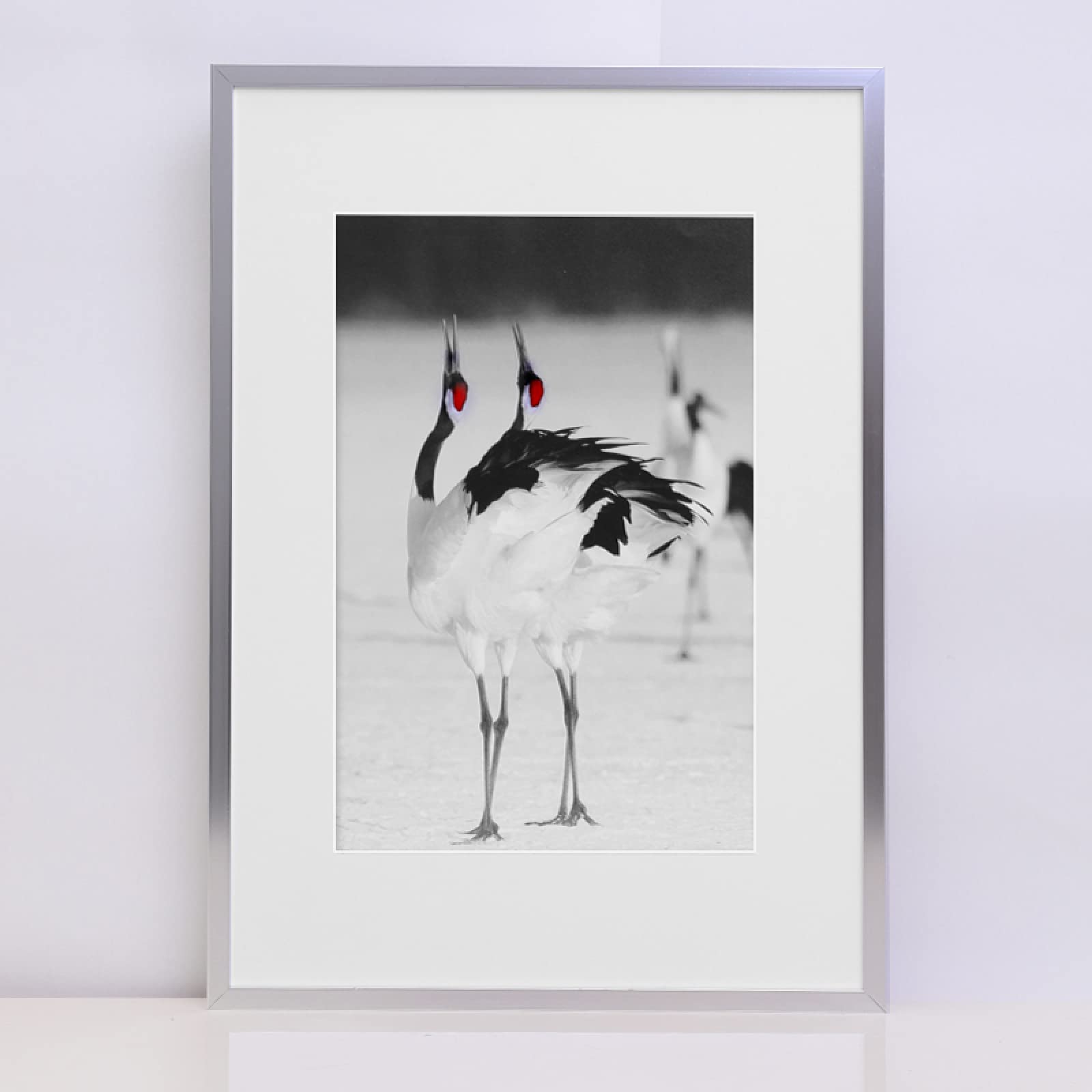 MEYYY A2 Poster Photo Frame - 42x59.4cm Silver Certificate Picture Frames for Wall Mounting - Perfect for Home Decor, Office Display & Artwork Protection