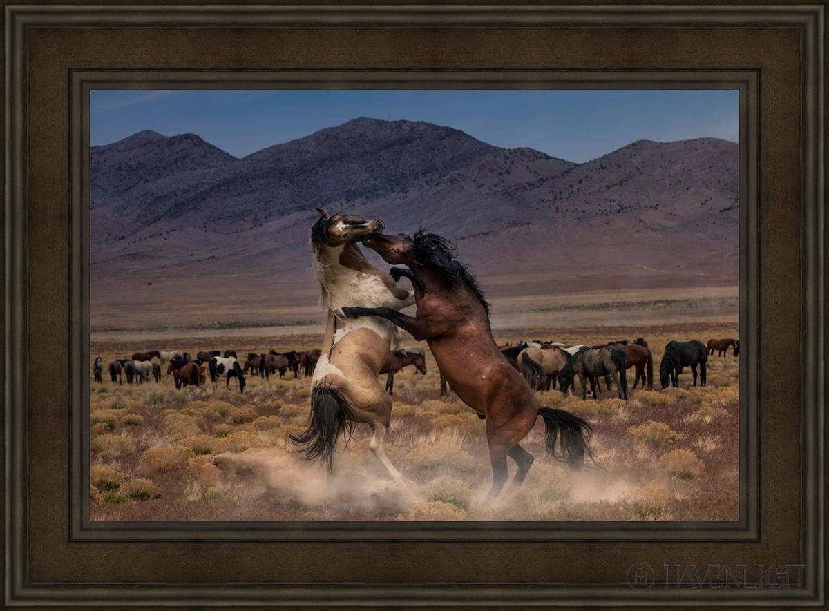 Desert Duel by Greg Sargent - Western Novel, Adventure & Action Book - Perfect for Fans of Cowboy Stories and Wild West Tales | Great for Reading on Road Trips, Camping & Relaxation