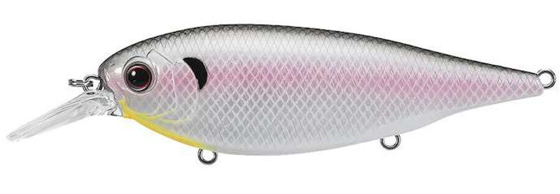 Bluegill