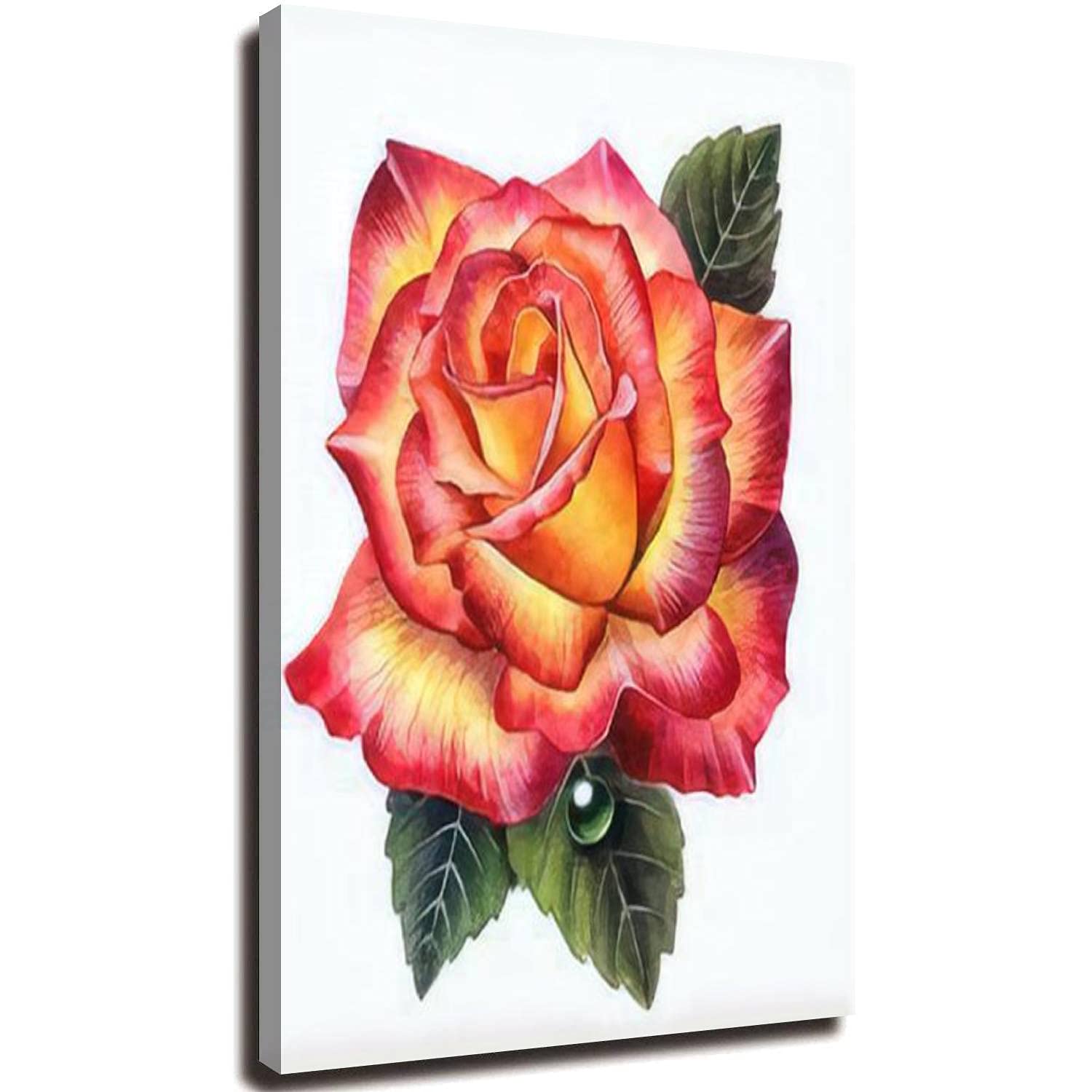 20x32 Inch Rose Watercolor Canvas Print - Stretched & Framed Wall Art Painting, White Background Floral Illustration, Ready to Hang Home Decor for Living Room, Bedroom & Office Gallery Display