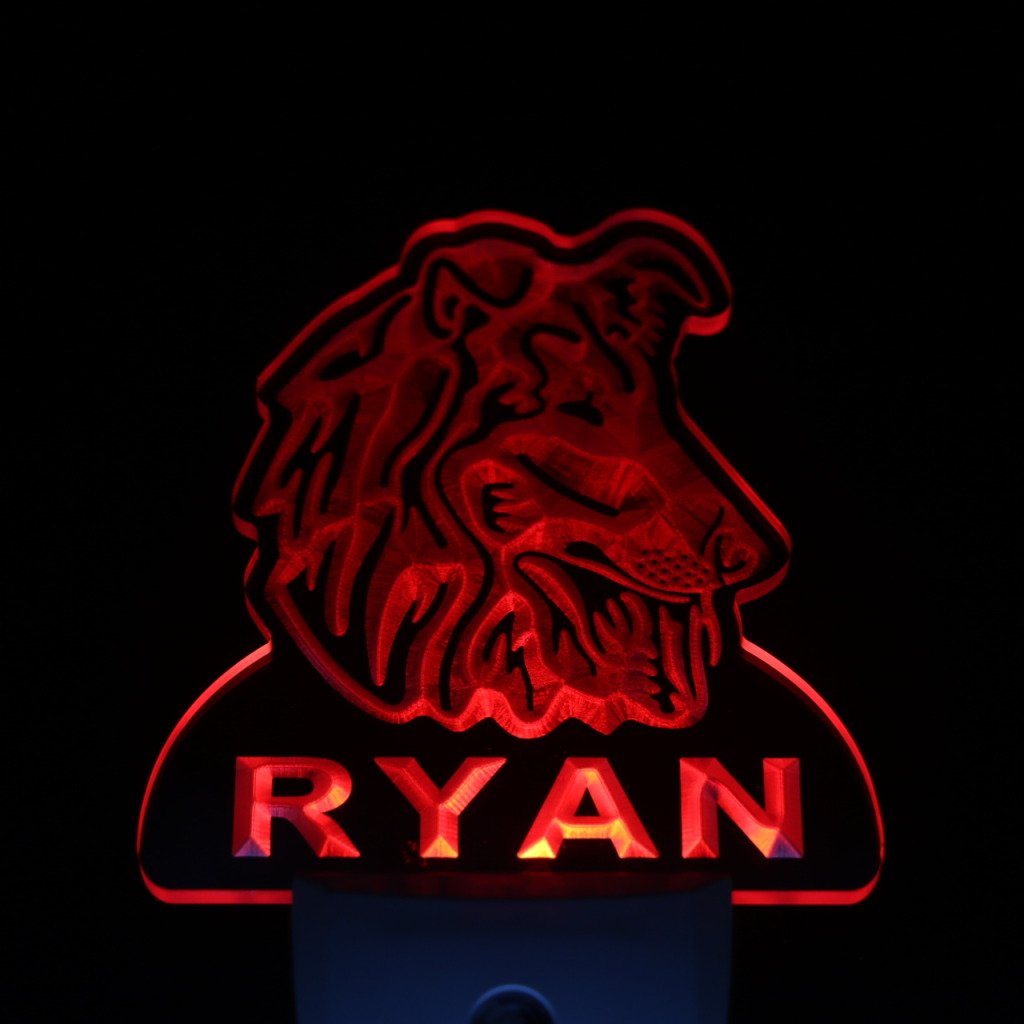 ADVPRO ws1090-tm Personalized Sheltie Dog Night Light with Name - Day/Night Sensor LED Sign for Bedroom, Nursery & Pet Lover Gifts
